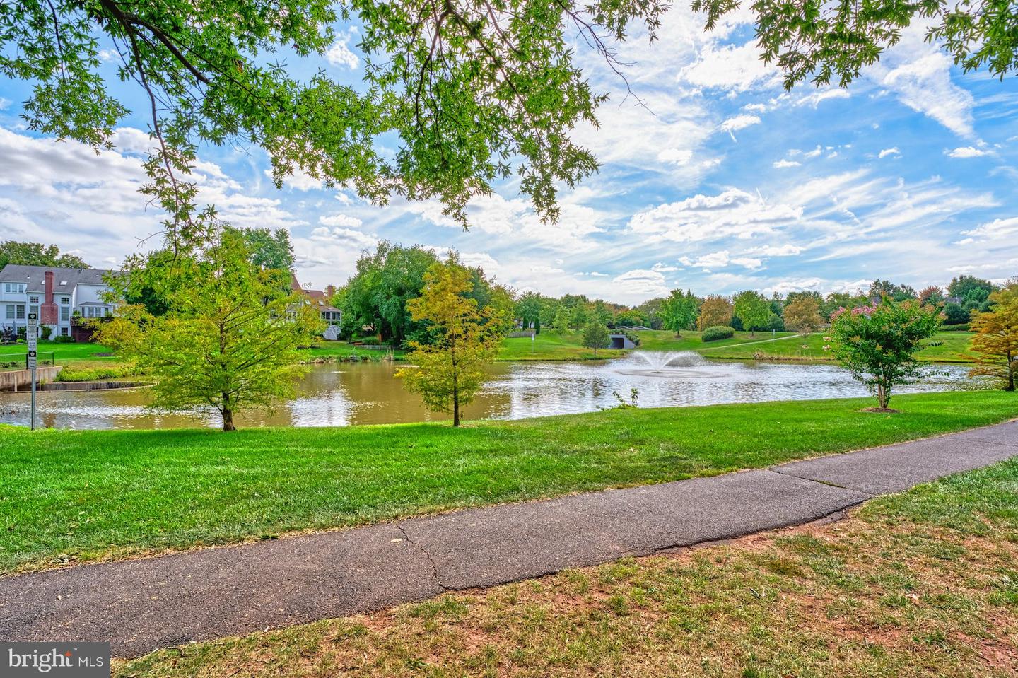 43281 Chokeberry SQUARE