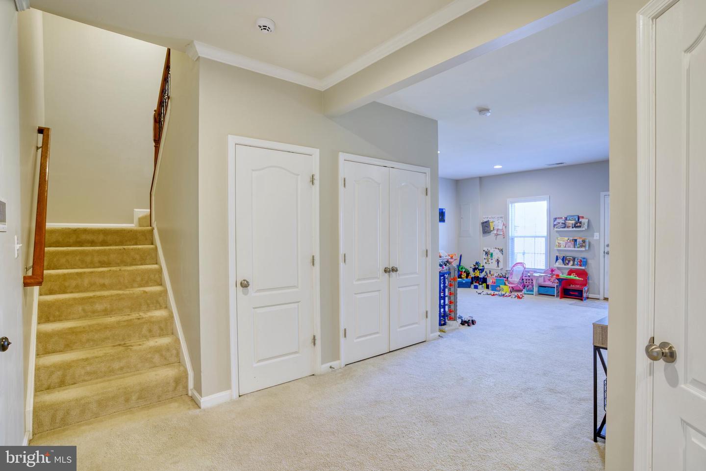 25172 Fluvial TERRACE