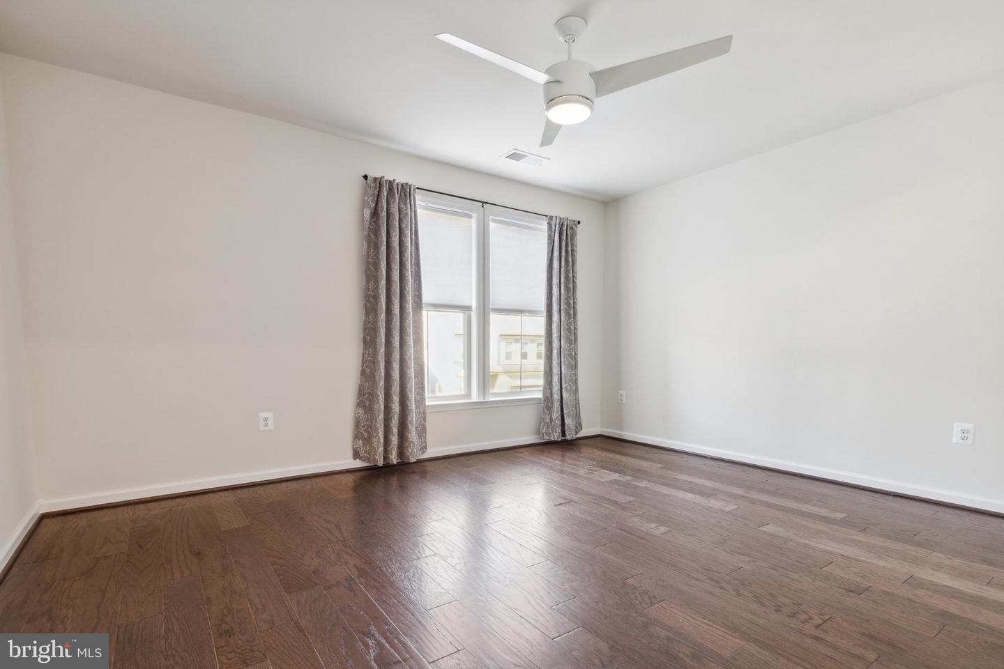 19870 Silvery Blue TERRACE