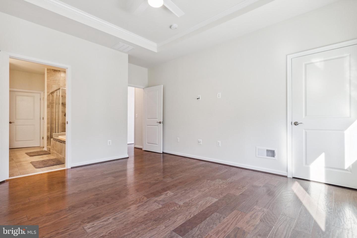 19870 Silvery Blue TERRACE