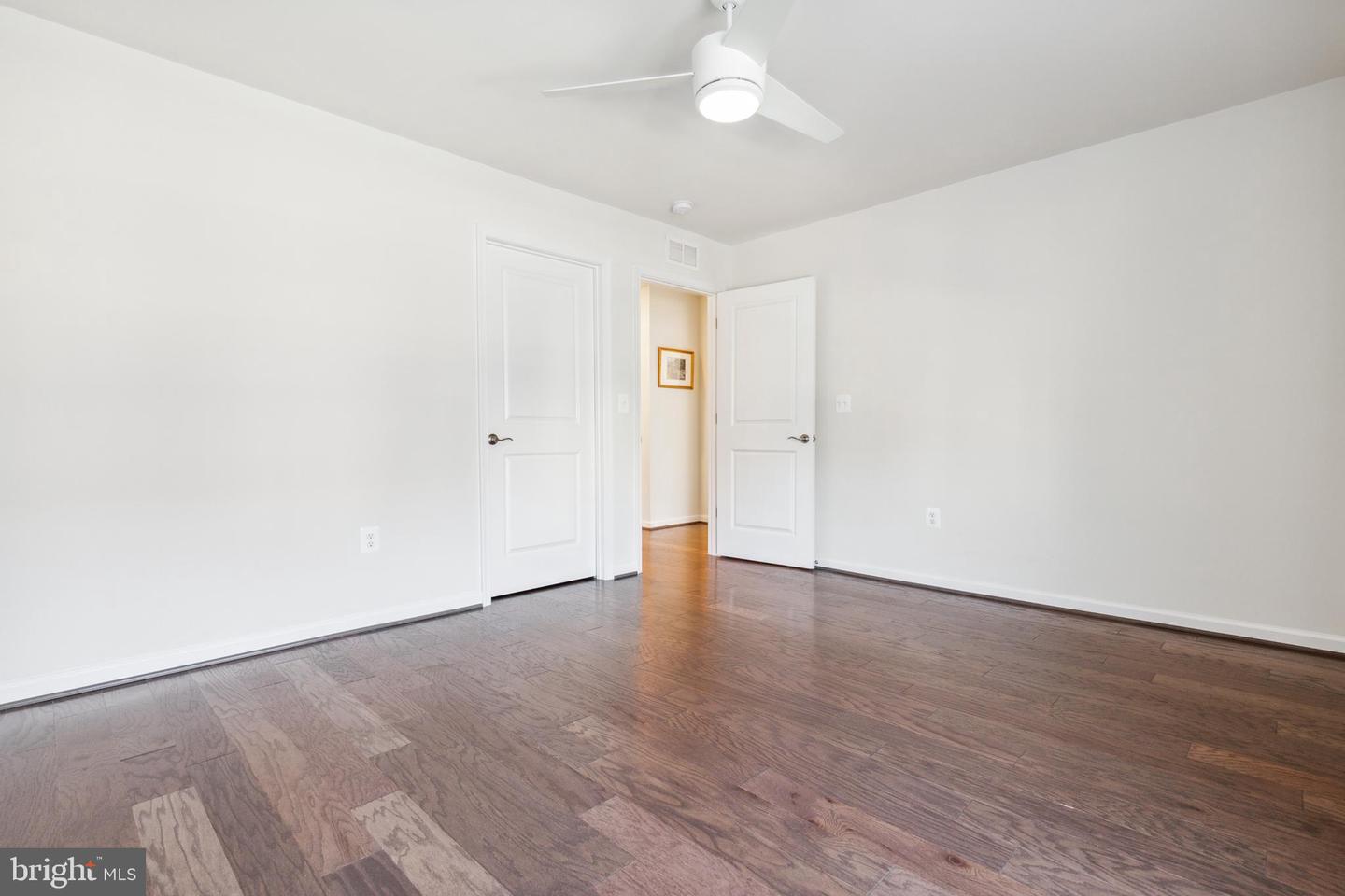 19870 Silvery Blue TERRACE