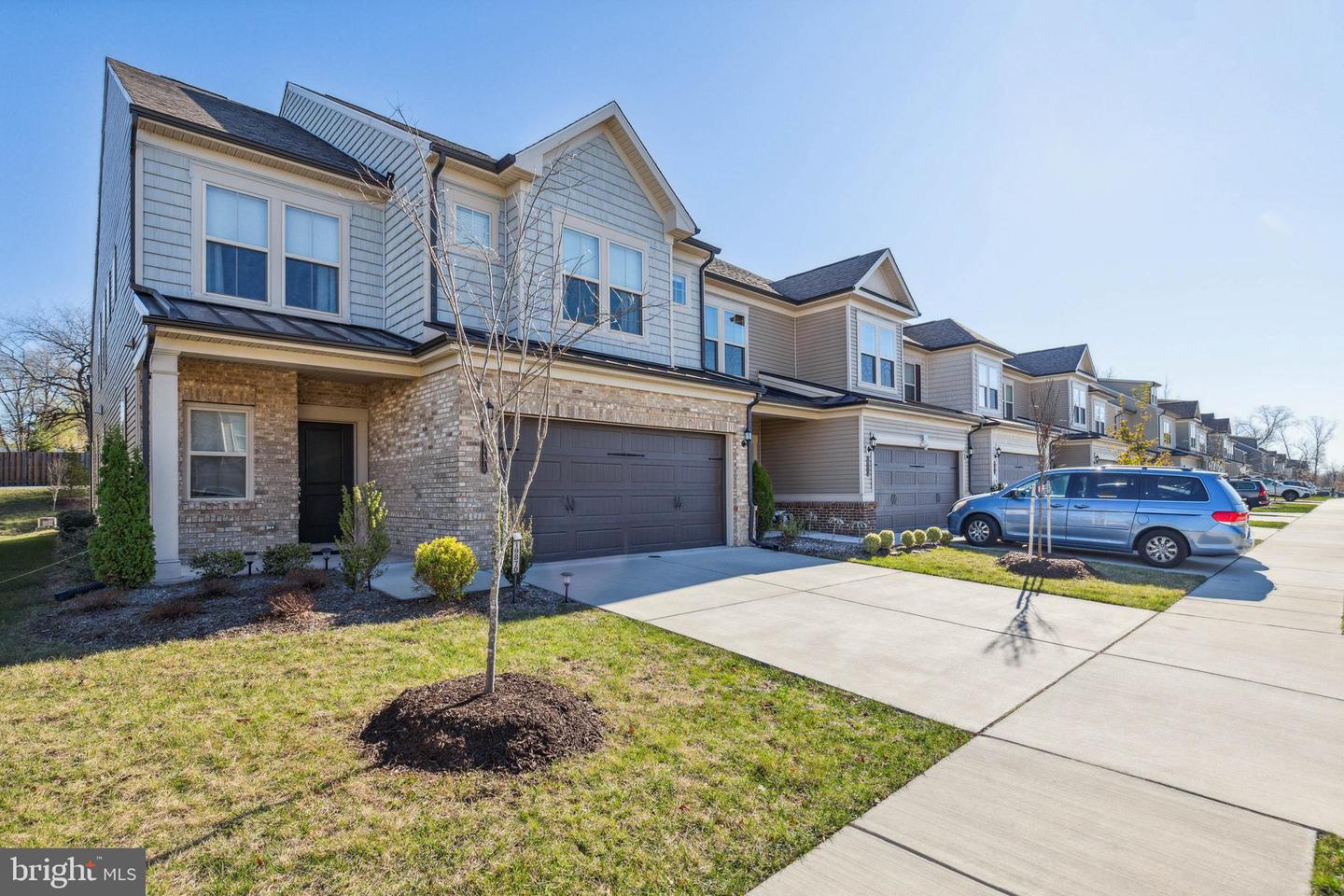 19870 Silvery Blue TERRACE