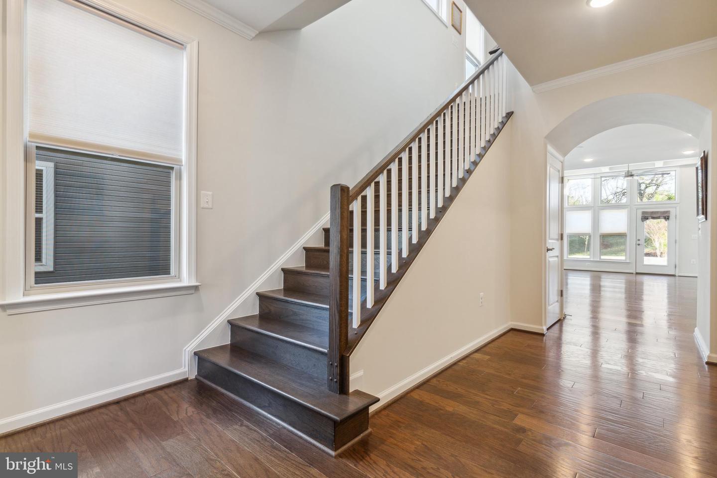 19870 Silvery Blue TERRACE