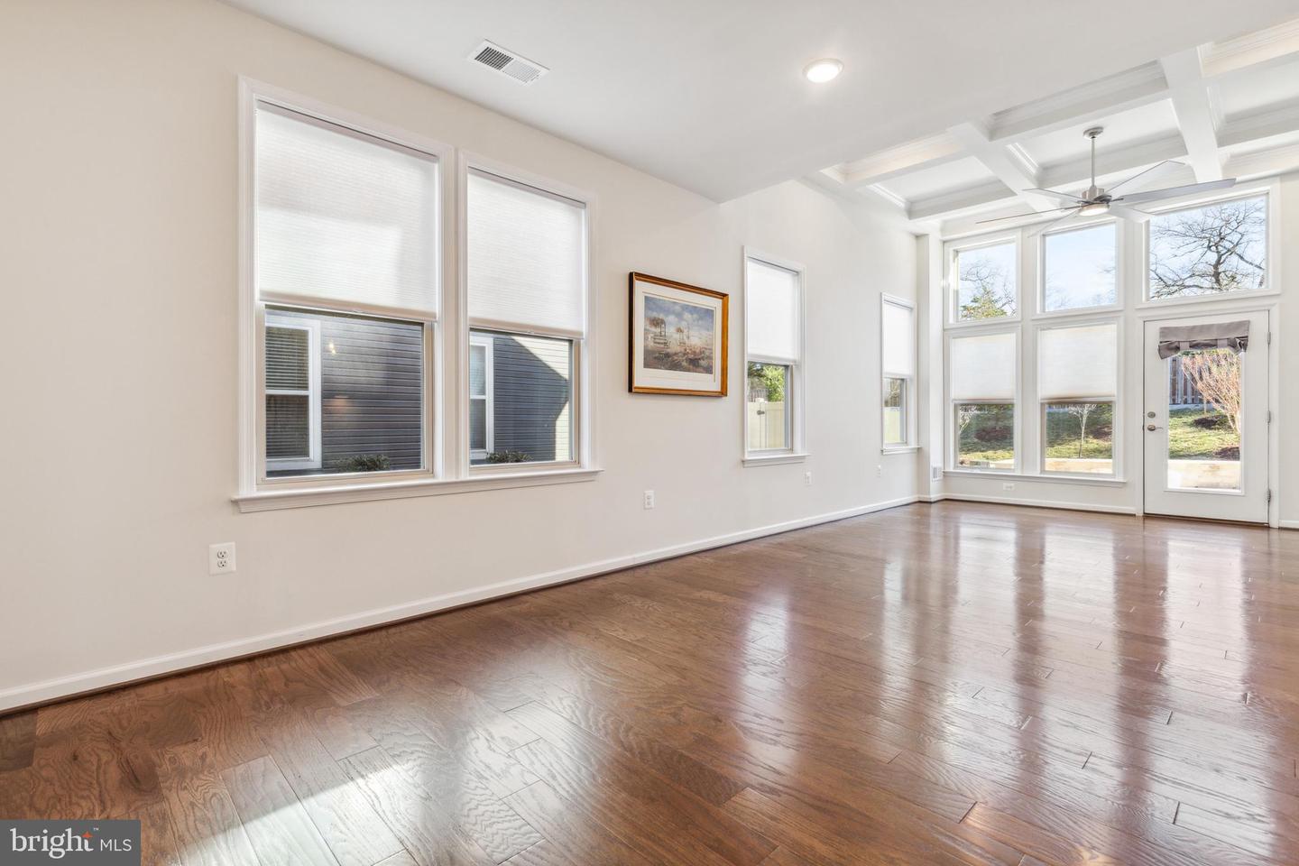 19870 Silvery Blue TERRACE