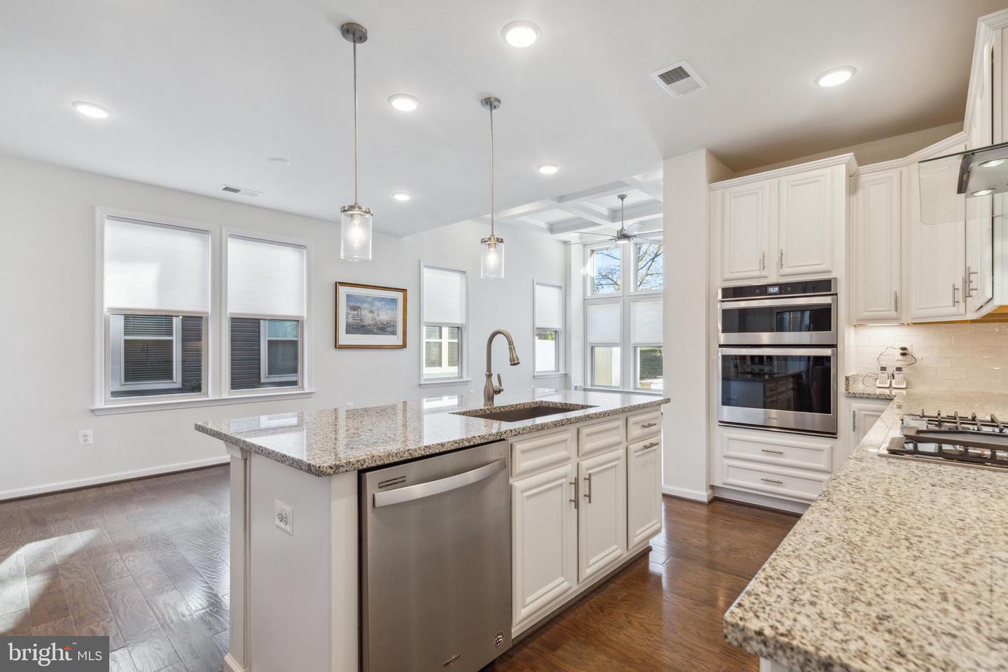 19870 Silvery Blue TERRACE