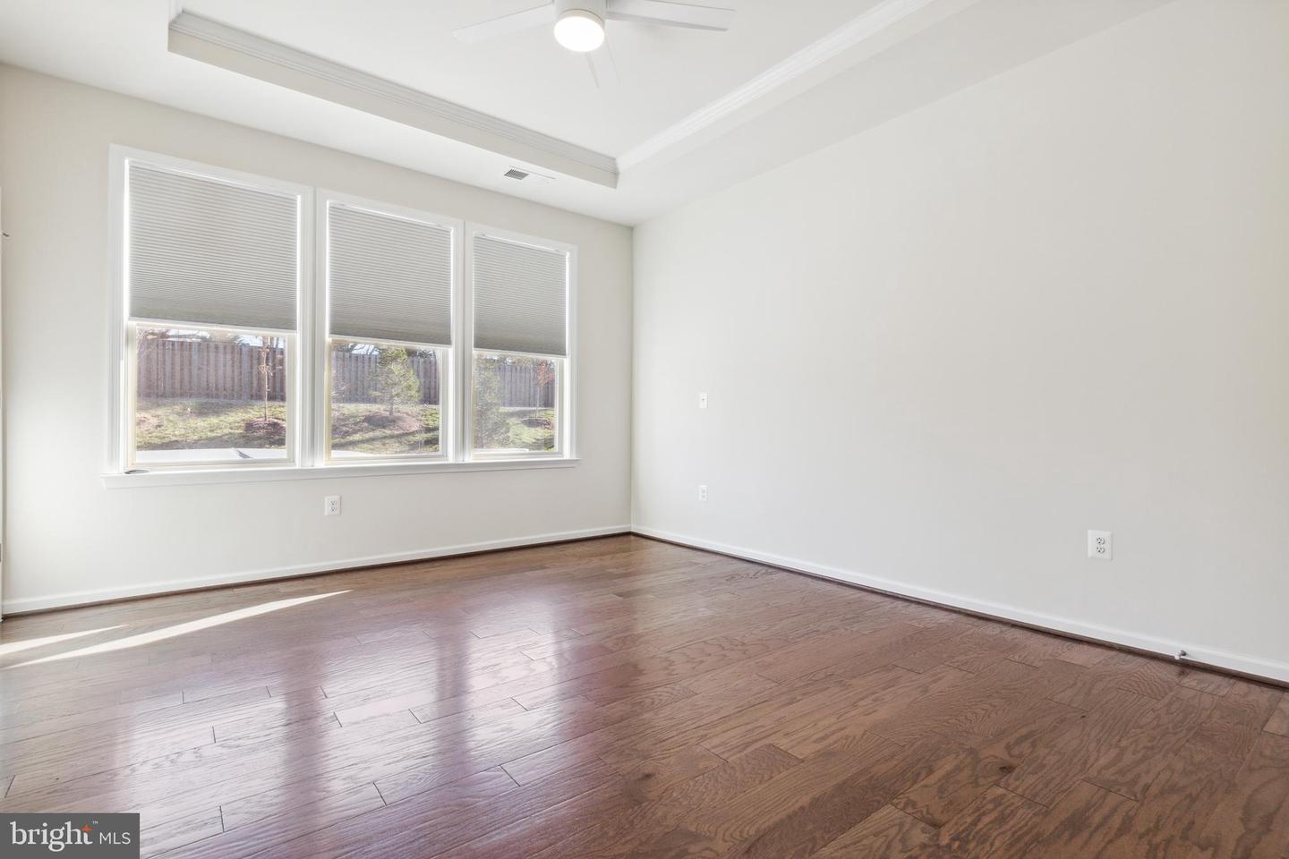 19870 Silvery Blue TERRACE