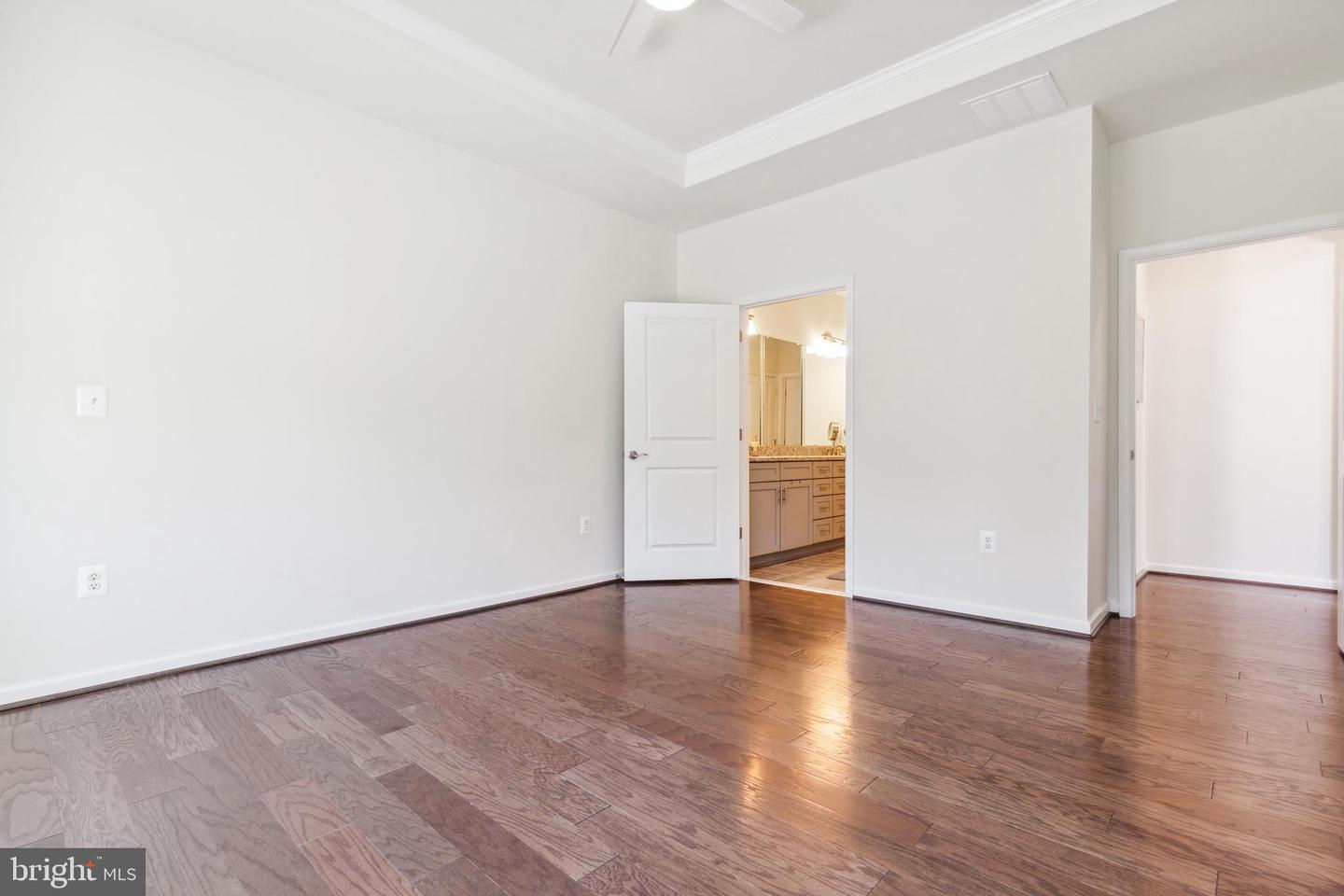19870 Silvery Blue TERRACE