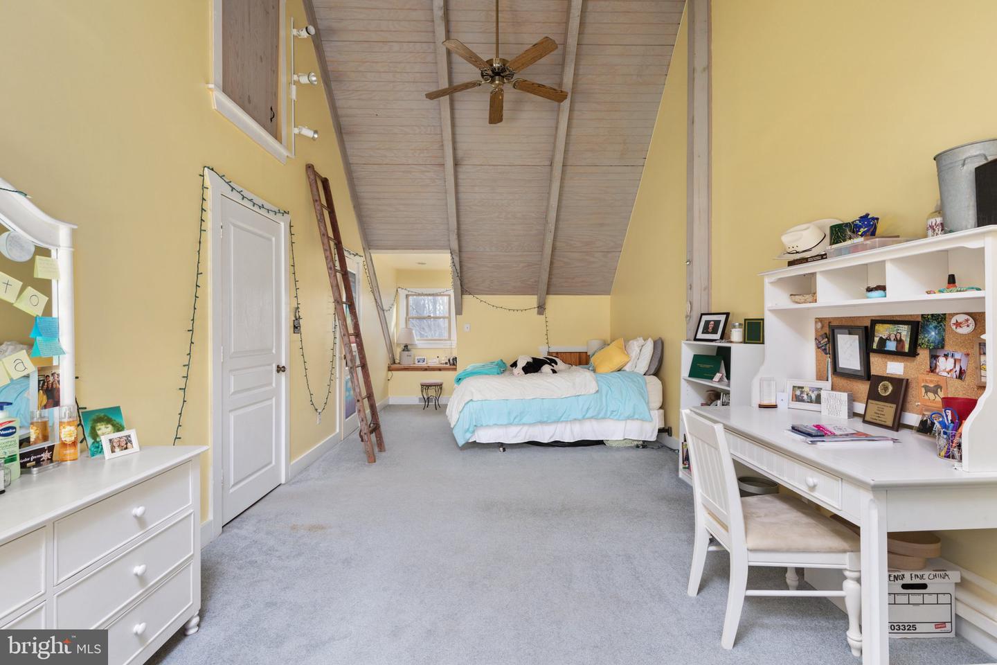 38255 Stevens ROAD