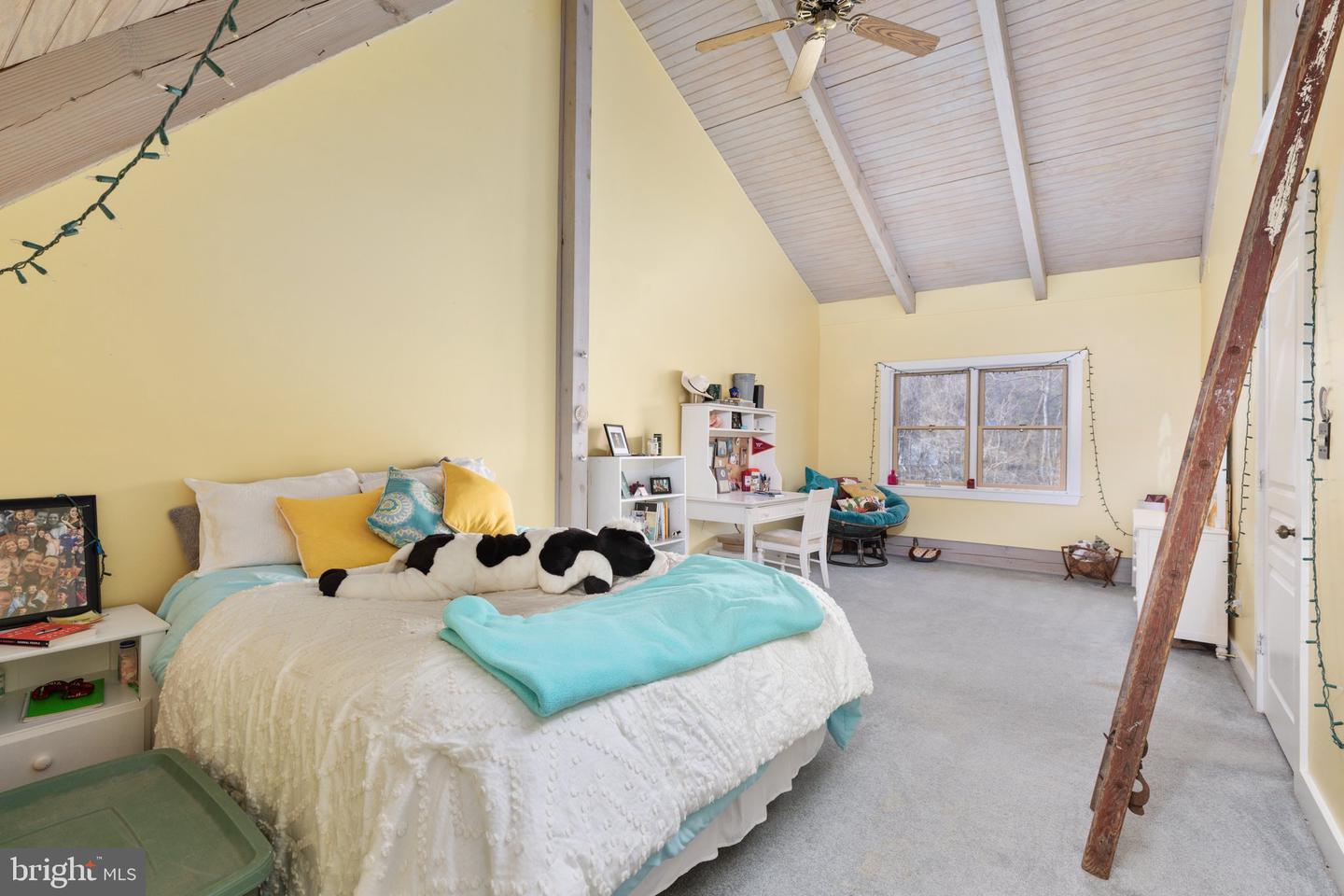 38255 Stevens ROAD