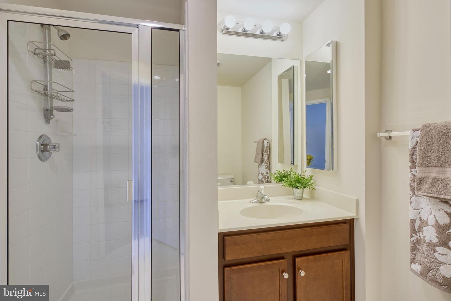 41823 Apatite SQUARE
