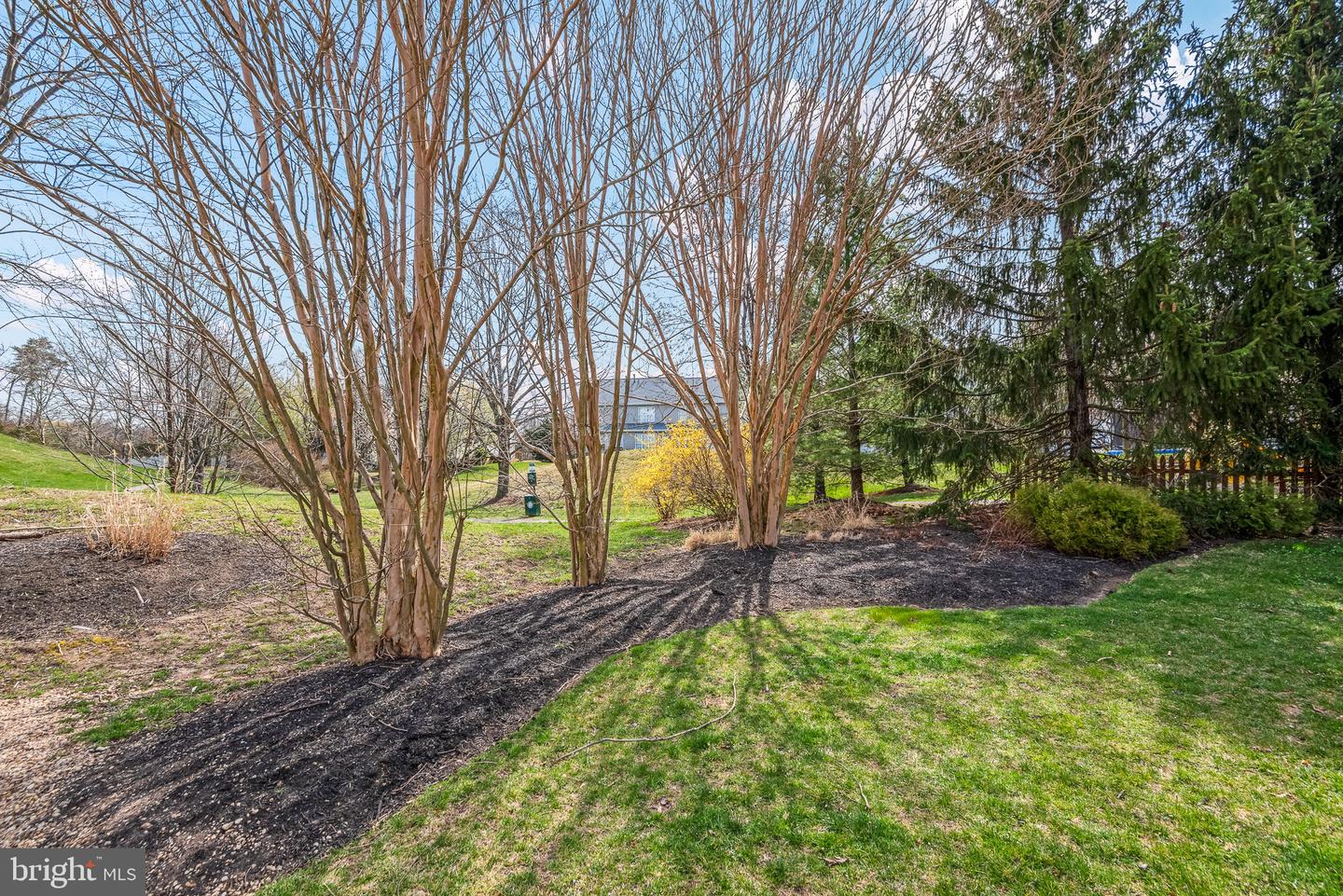 20012 Forest Farm LANE