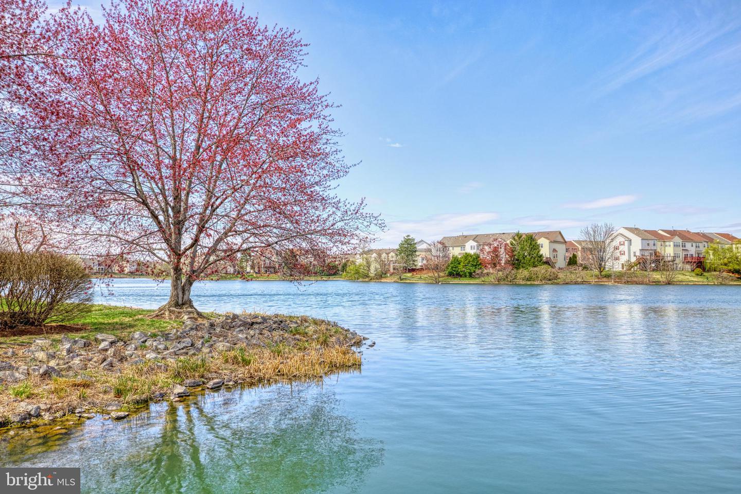 20578 Snowshoe SQUARE Unit: 102