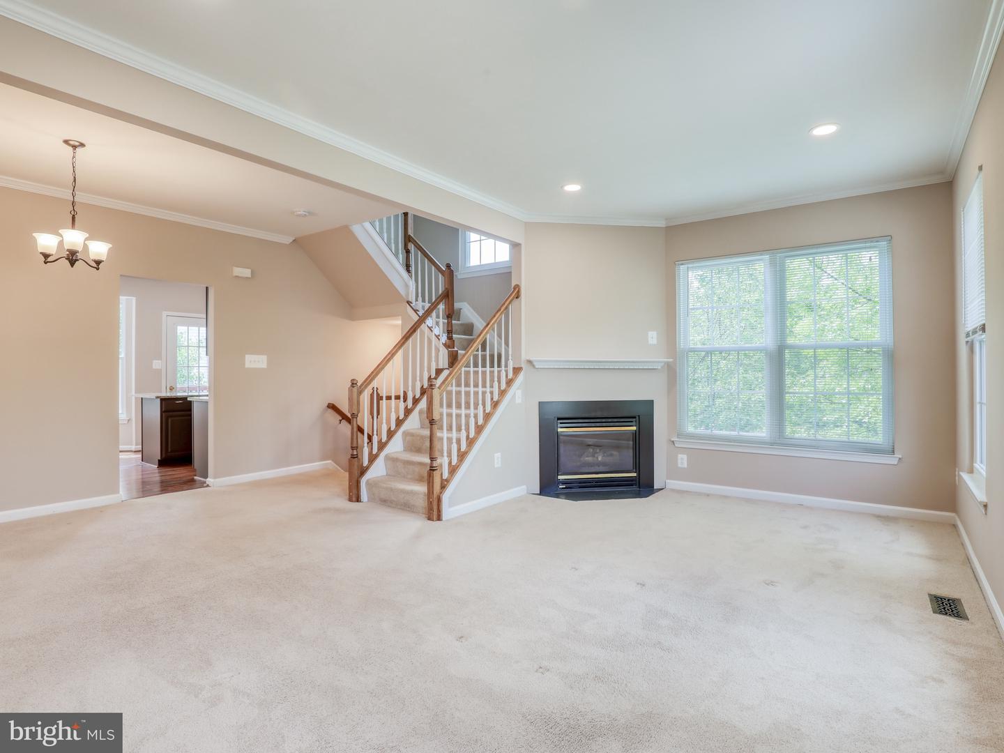 45531 Clear Spring TERRACE