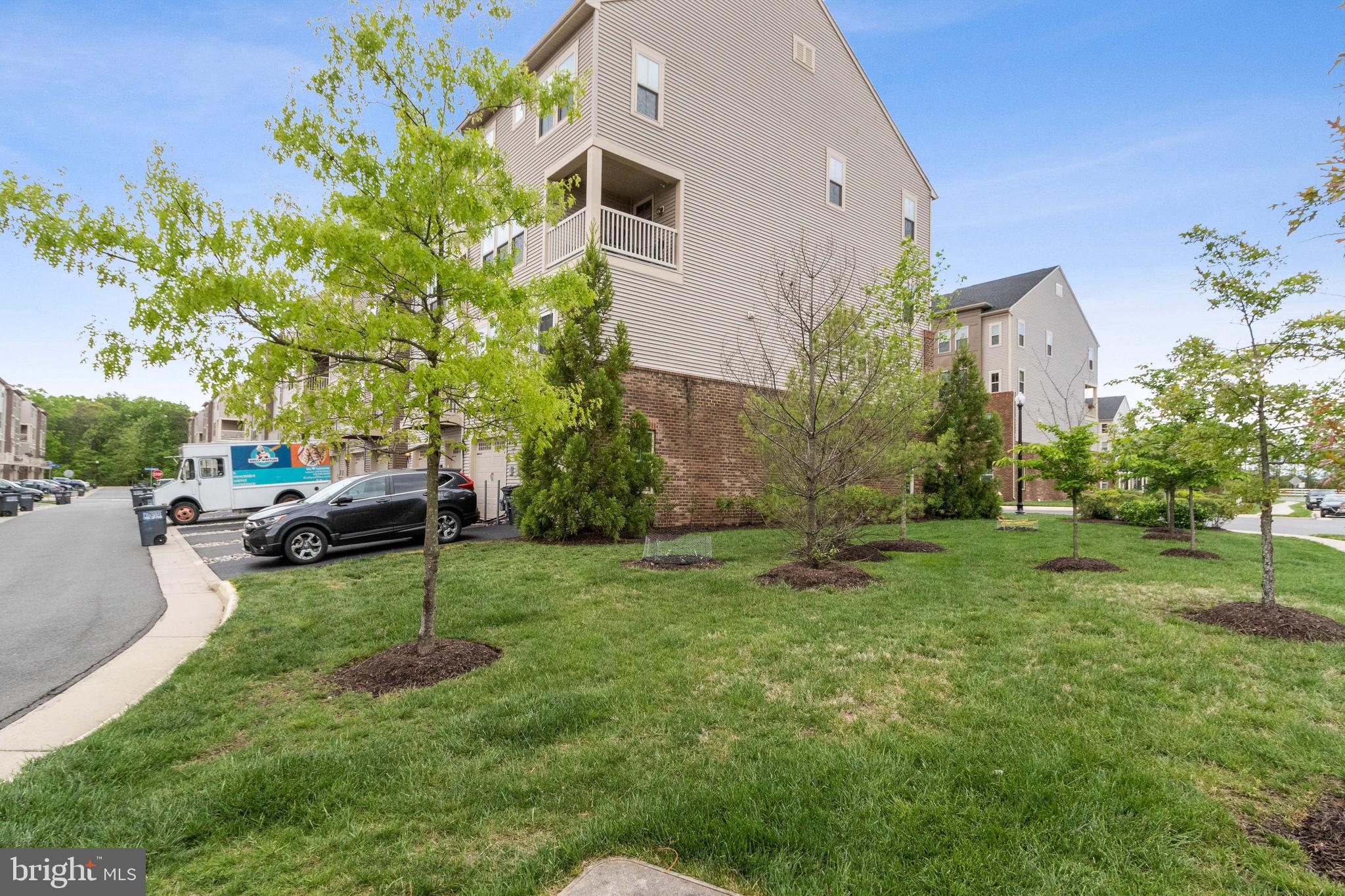 25284 Gray Poplar TERRACE
