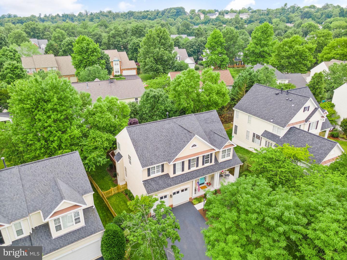 42875 Autumn Harvest COURT