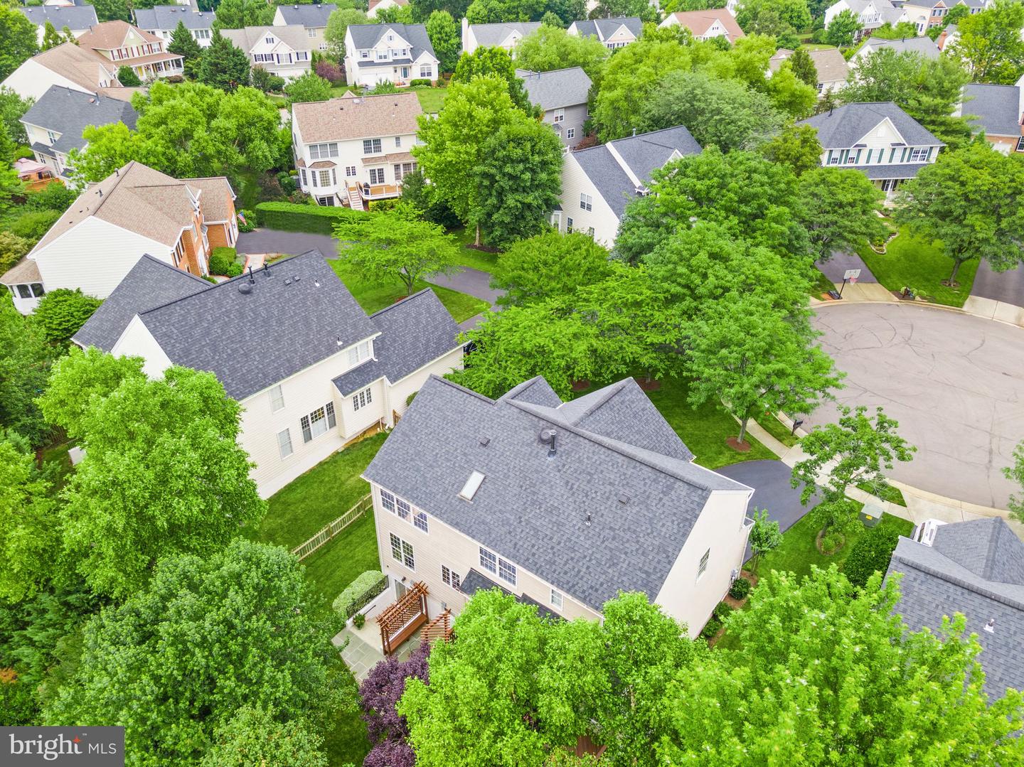 42875 Autumn Harvest COURT