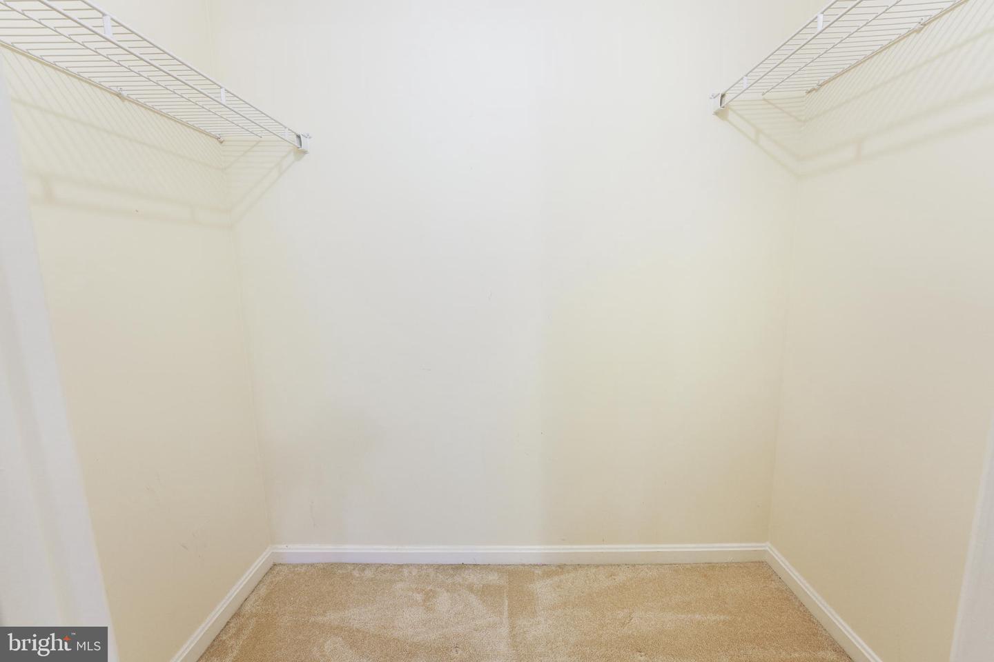 20578 Snowshoe SQUARE Unit: 101