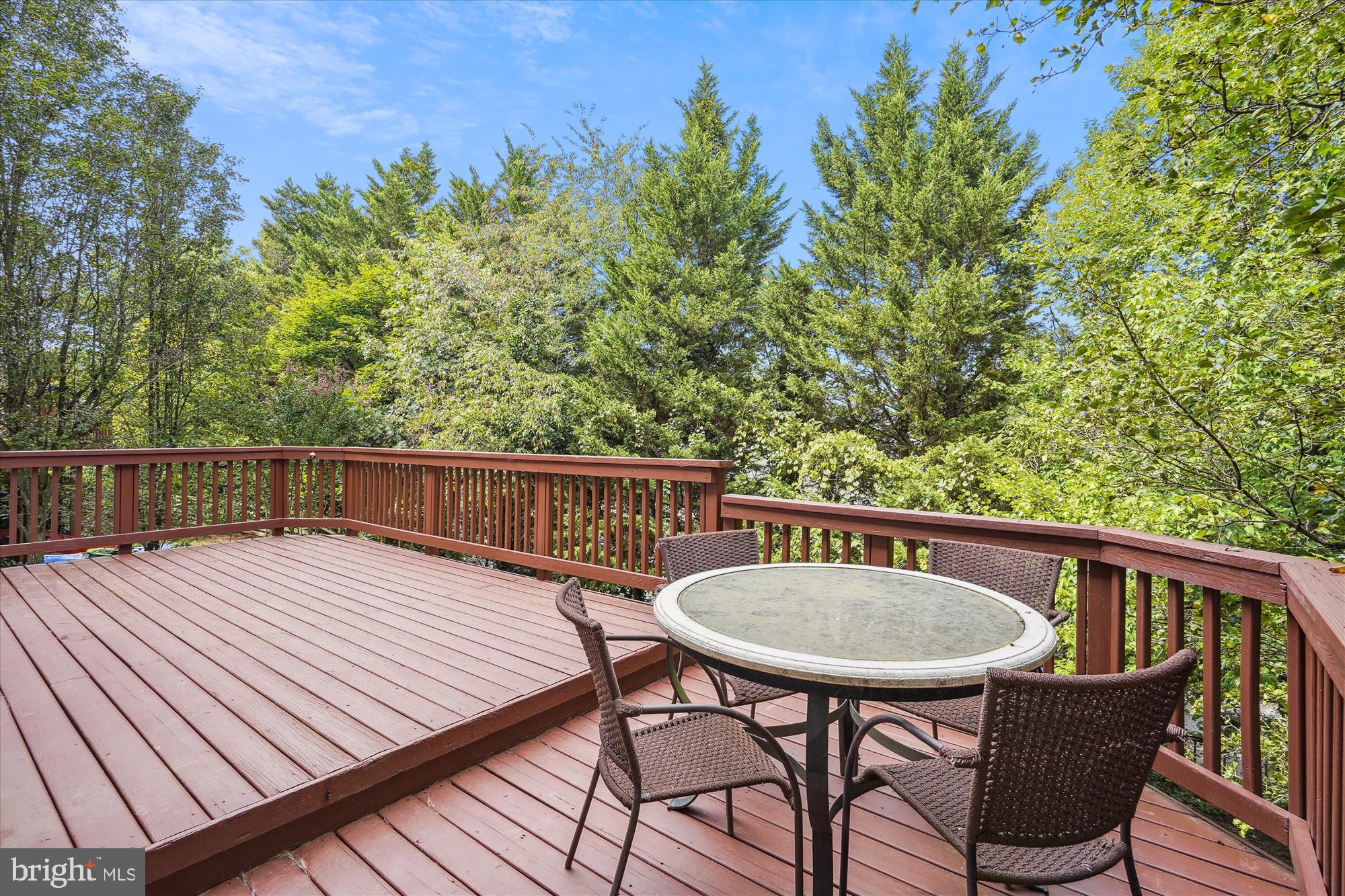 46428 Thornwood COURT