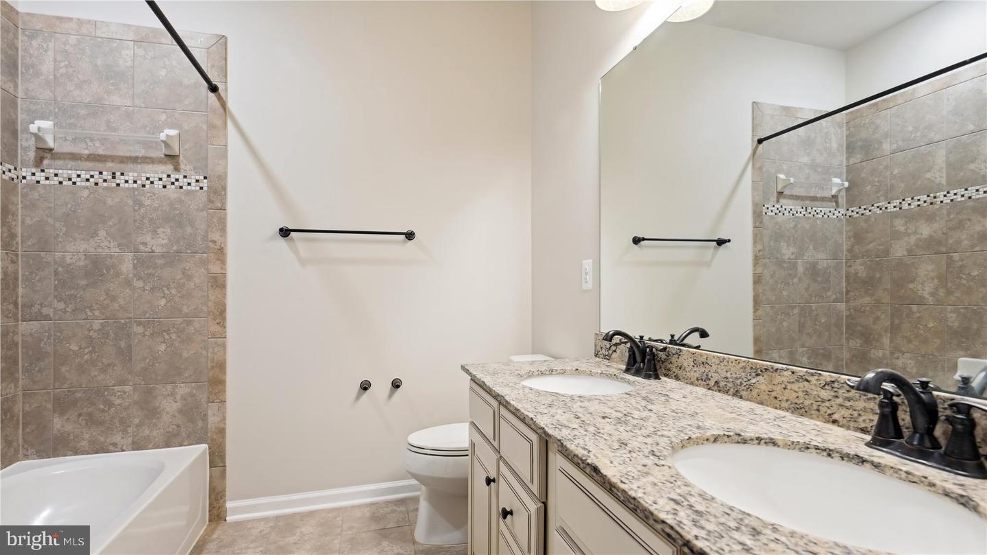 25337 Crested Iris TERRACE