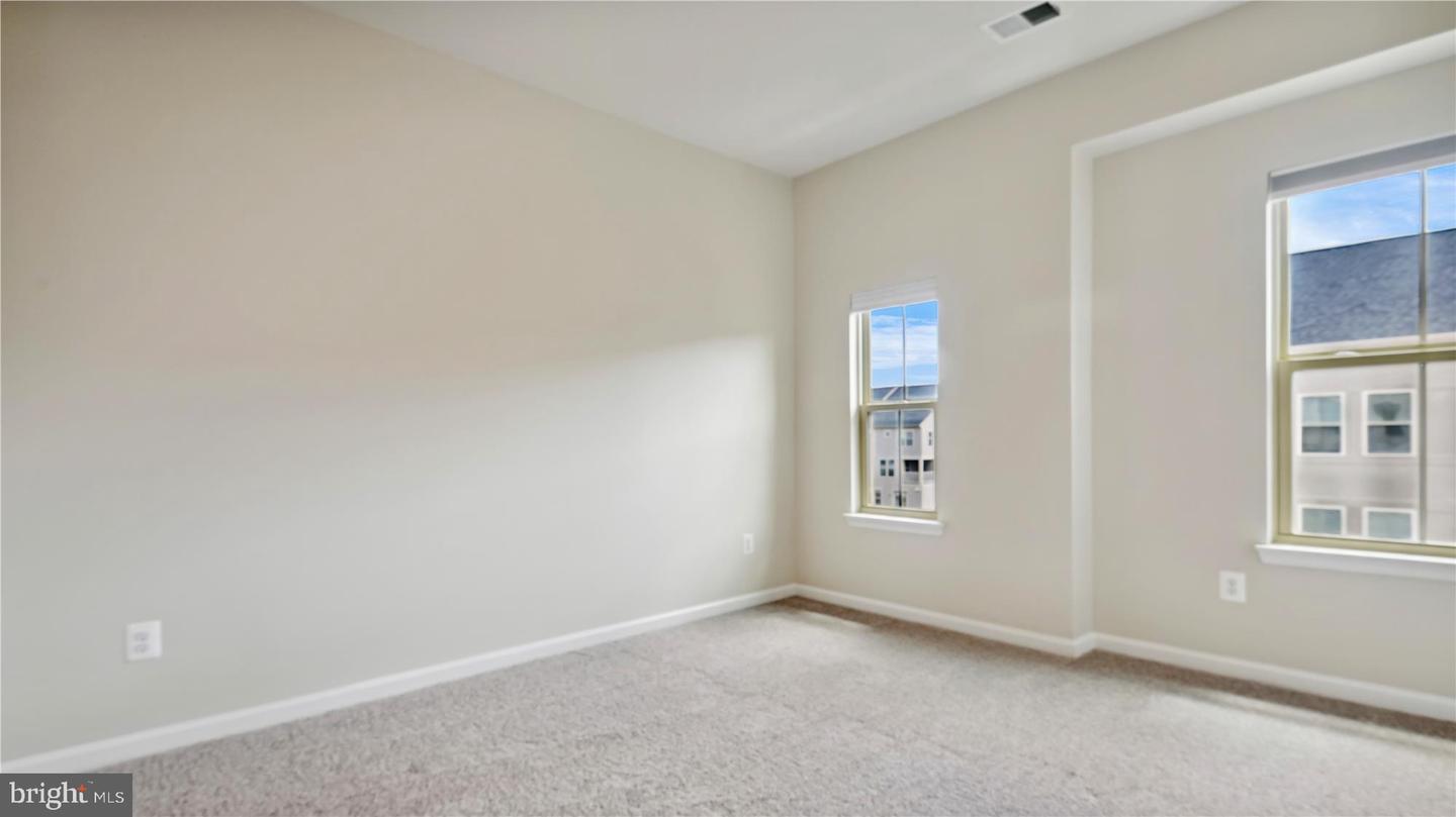 25337 Crested Iris TERRACE