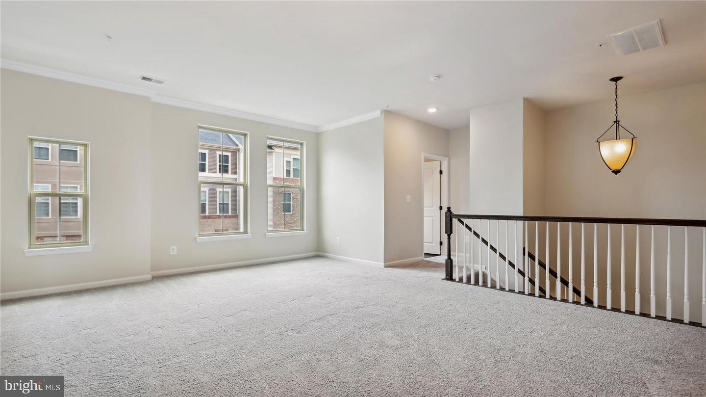 25337 Crested Iris TERRACE