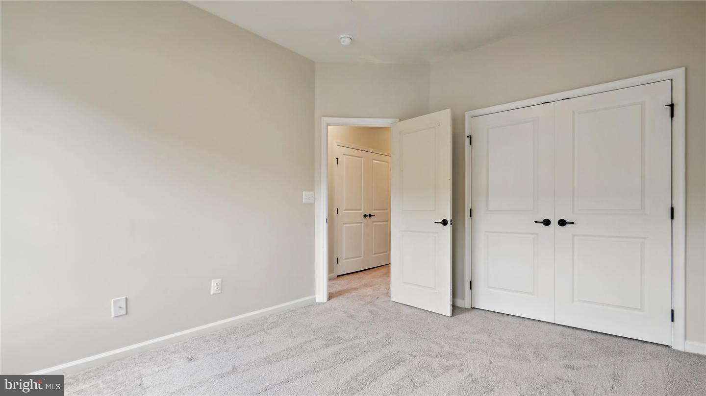25337 Crested Iris TERRACE
