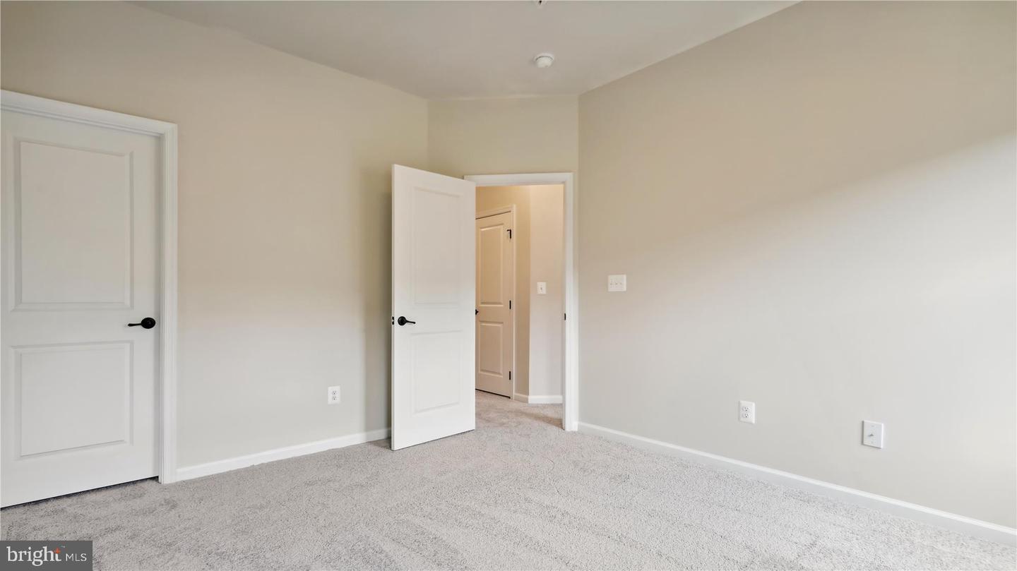 25337 Crested Iris TERRACE