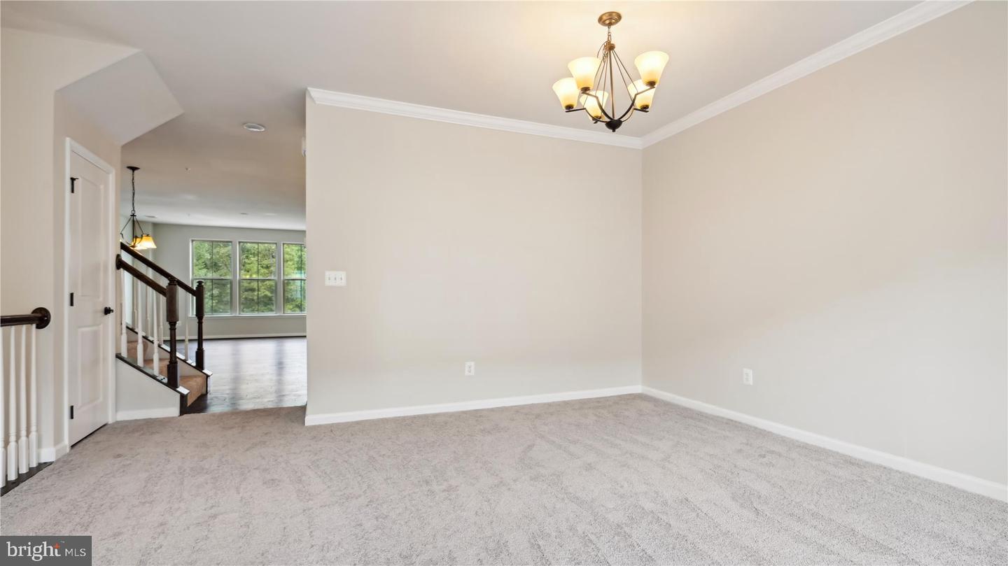 25337 Crested Iris TERRACE