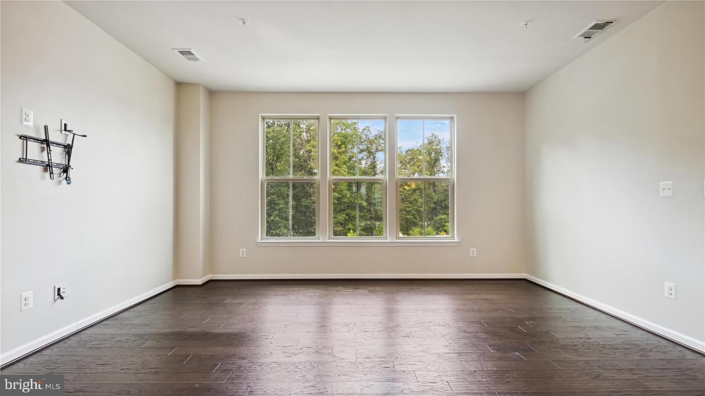 25337 Crested Iris TERRACE