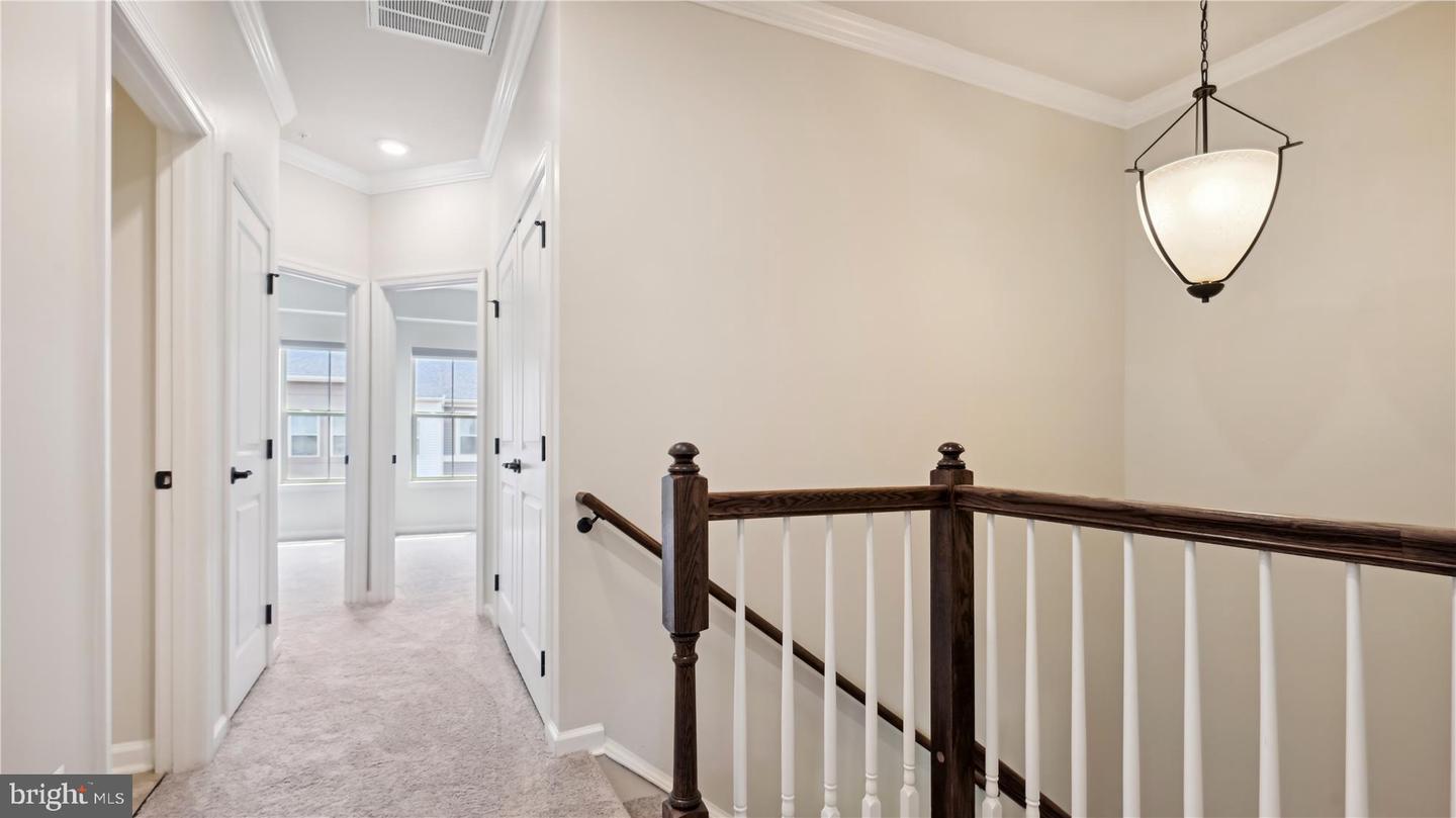 25337 Crested Iris TERRACE