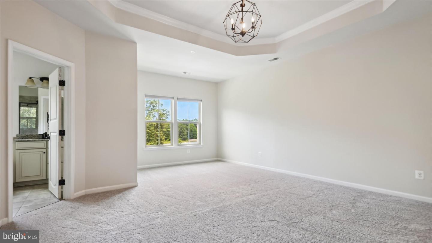 25337 Crested Iris TERRACE