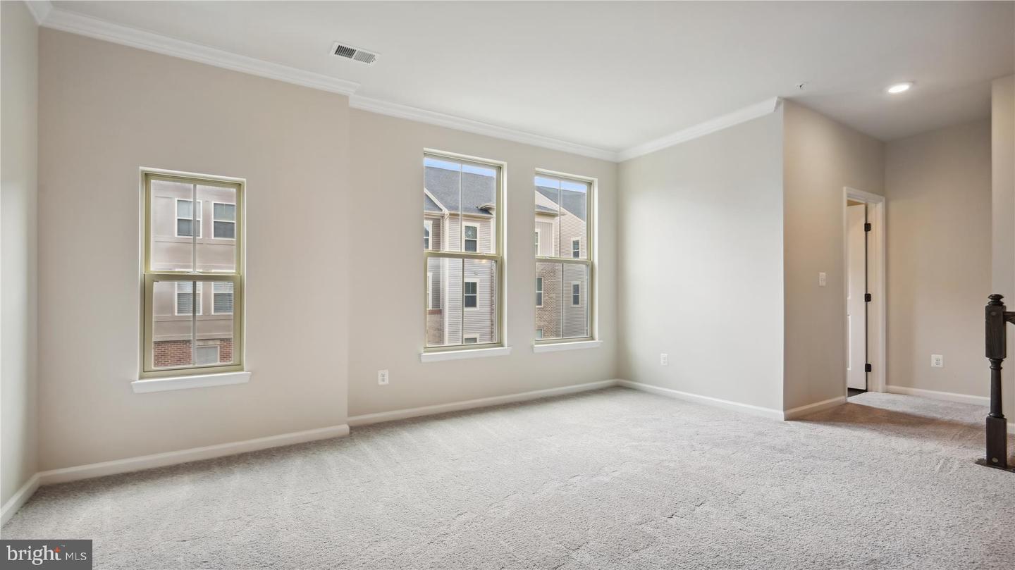 25337 Crested Iris TERRACE