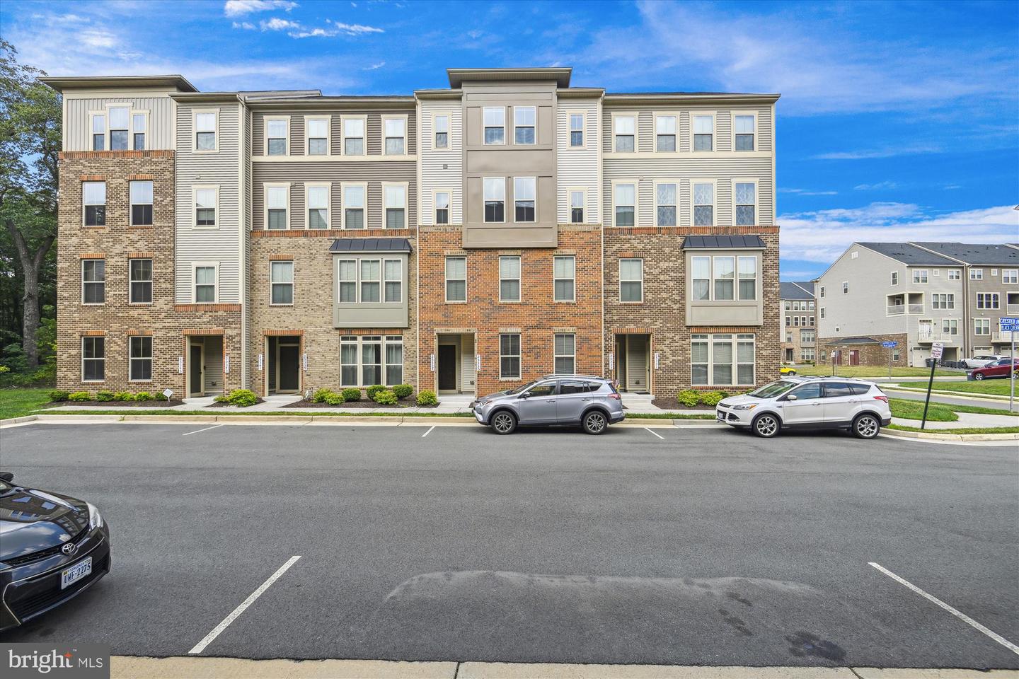25337 Crested Iris TERRACE