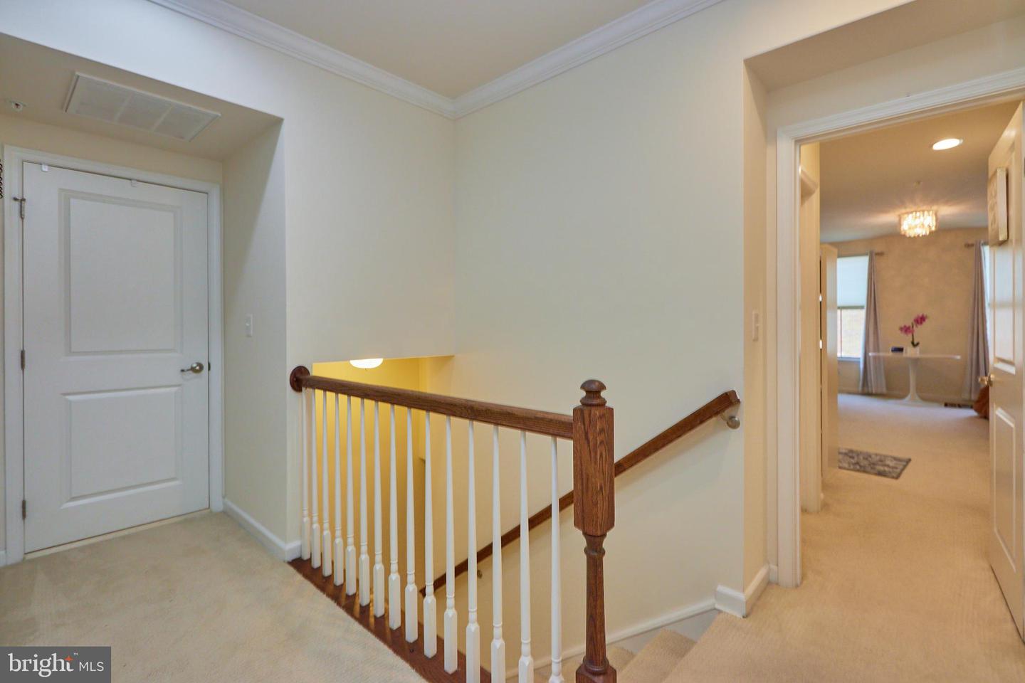 25314 Trumpet Vine TERRACE Unit: 13C