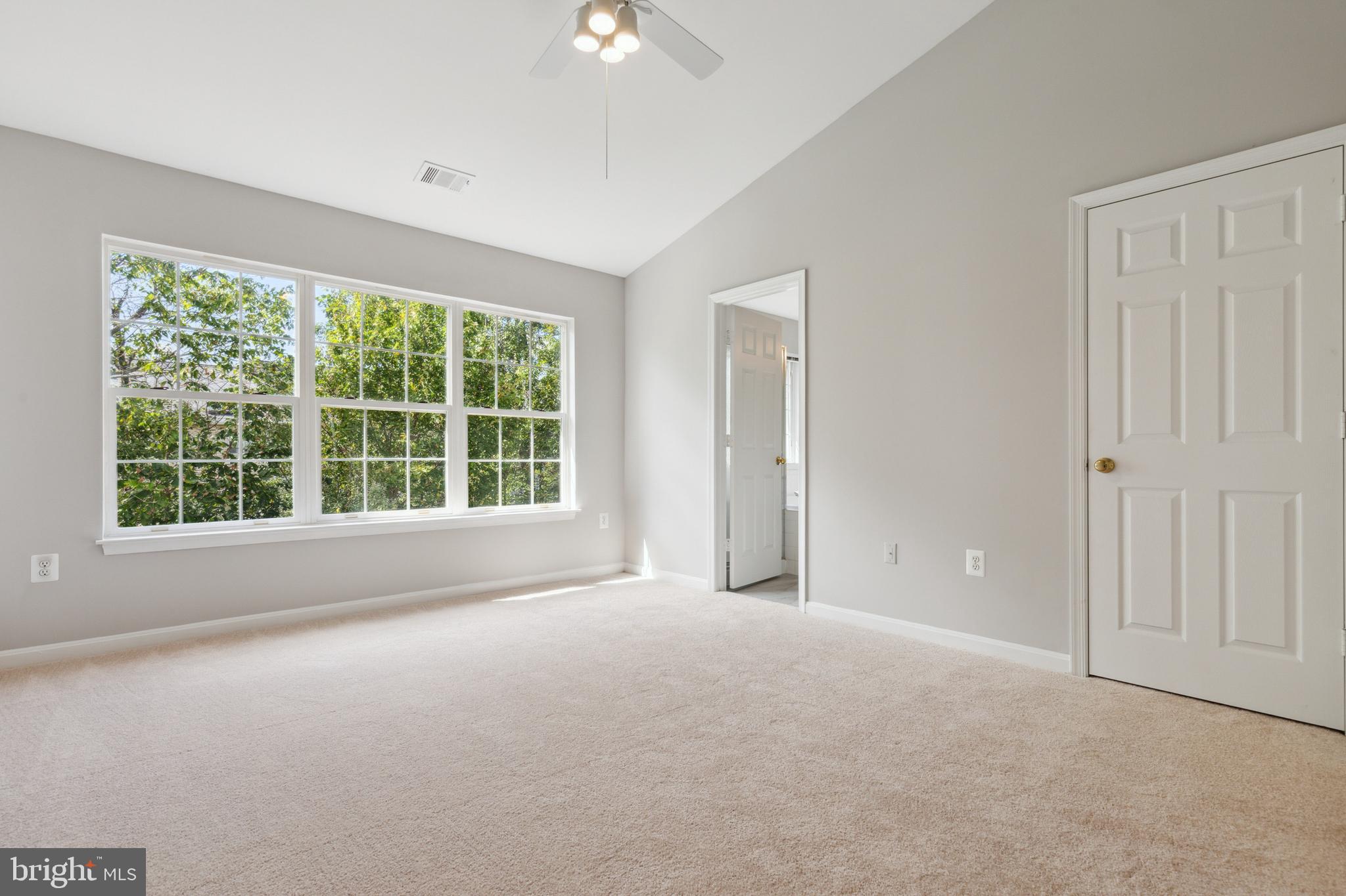 20397 Volley TERRACE