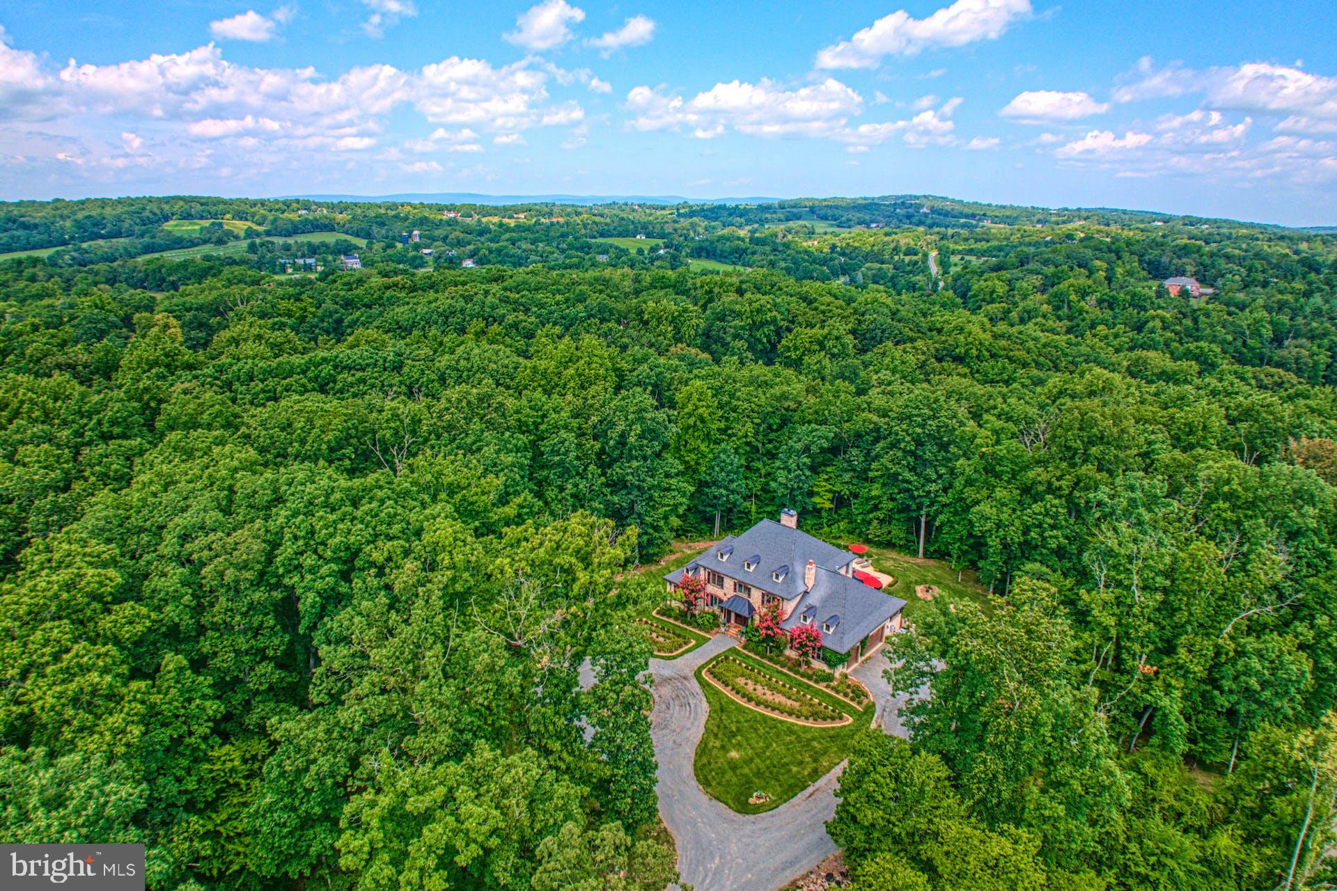 40046 Mount Gilead ROAD