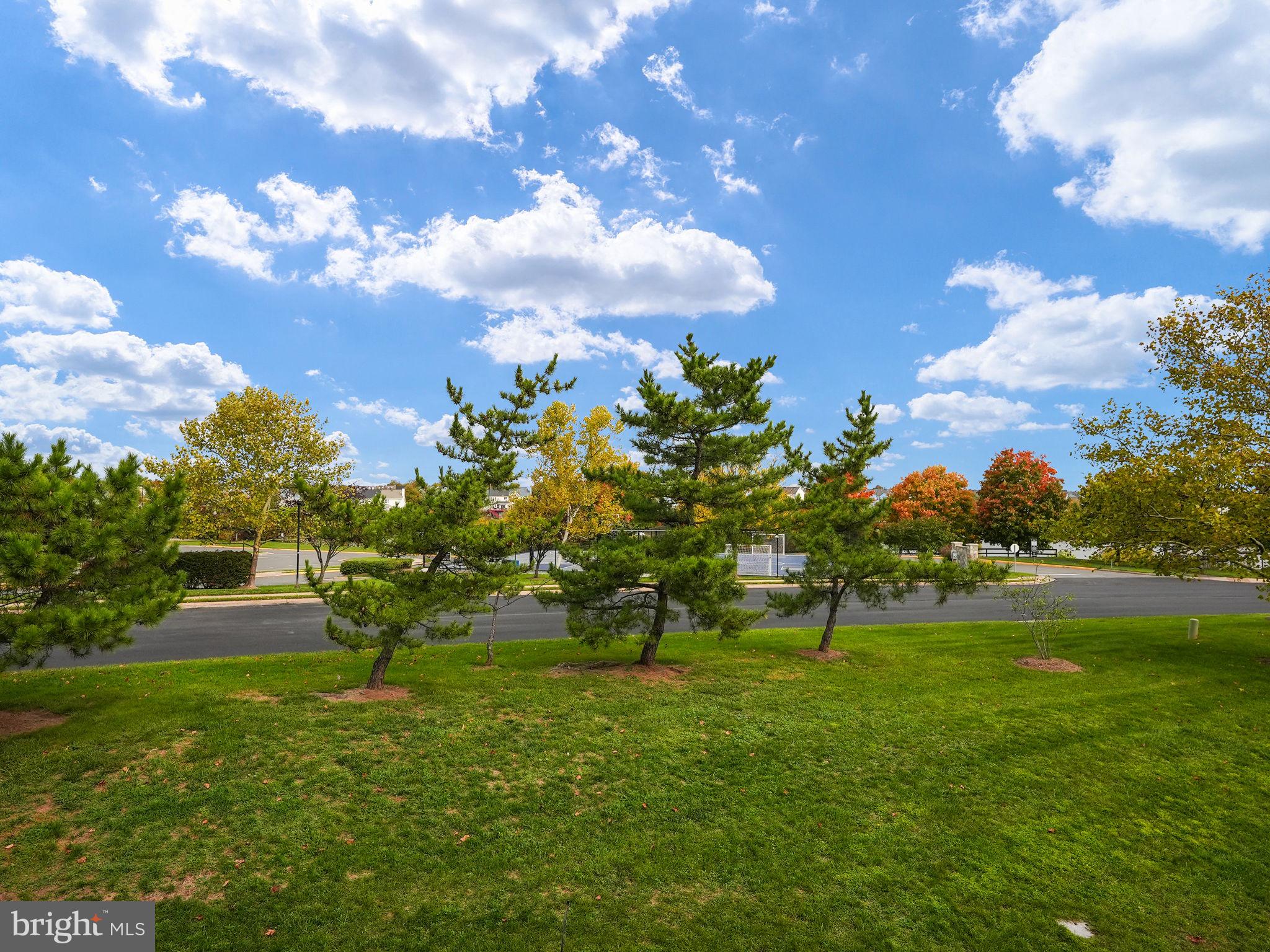 21207 Owls Nest SQUARE