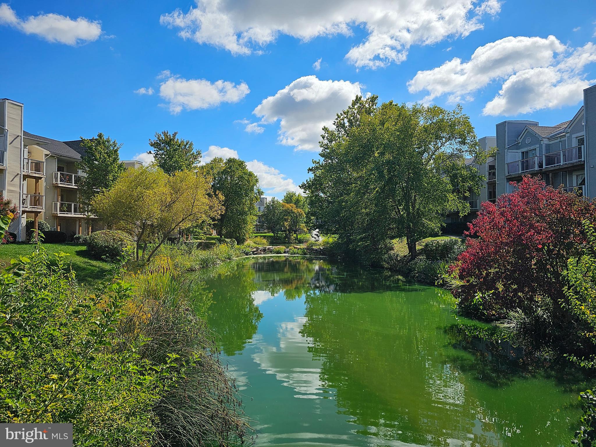 20588 Cornstalk TERRACE Unit: 101