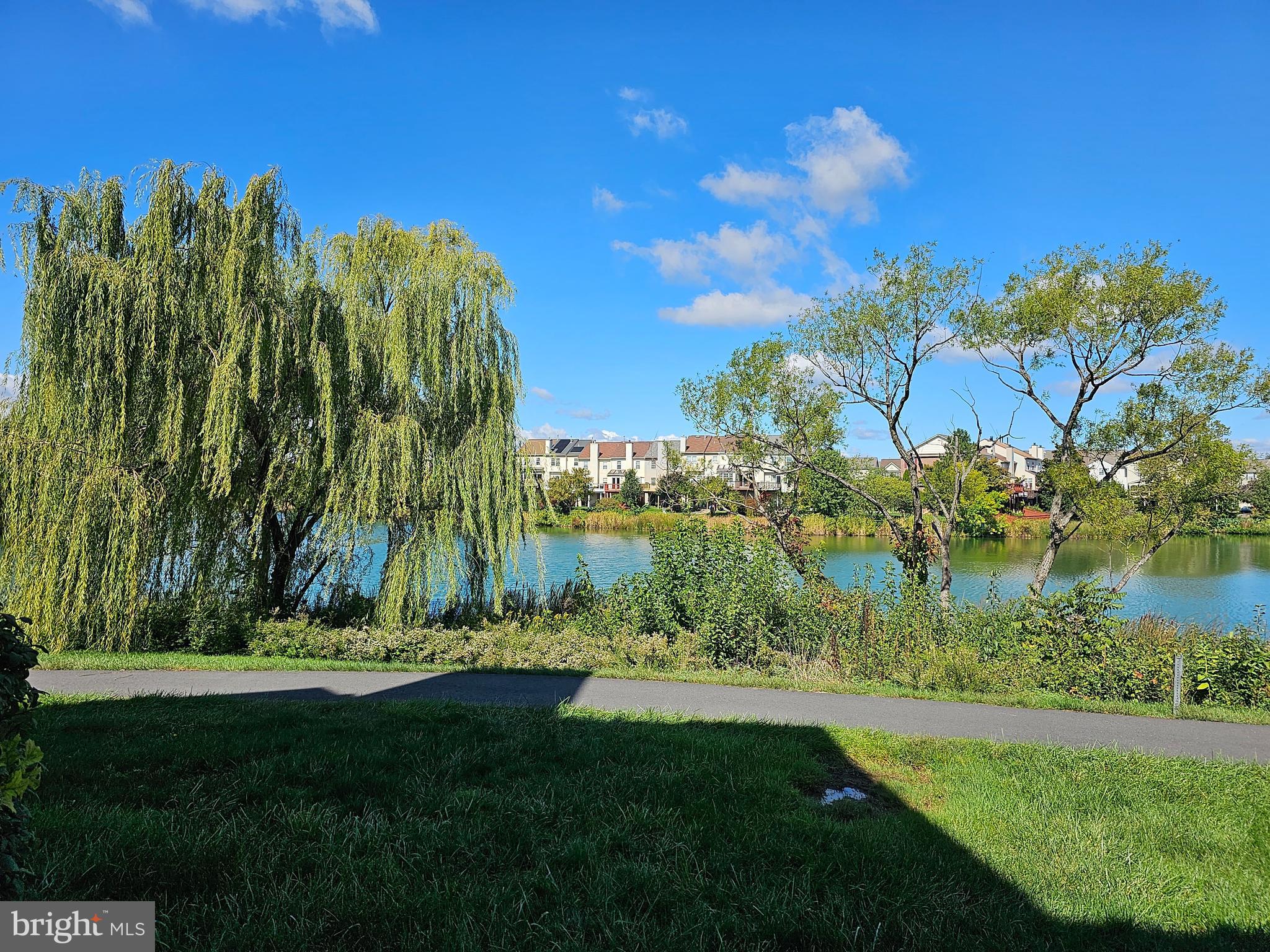 20588 Cornstalk TERRACE Unit: 101