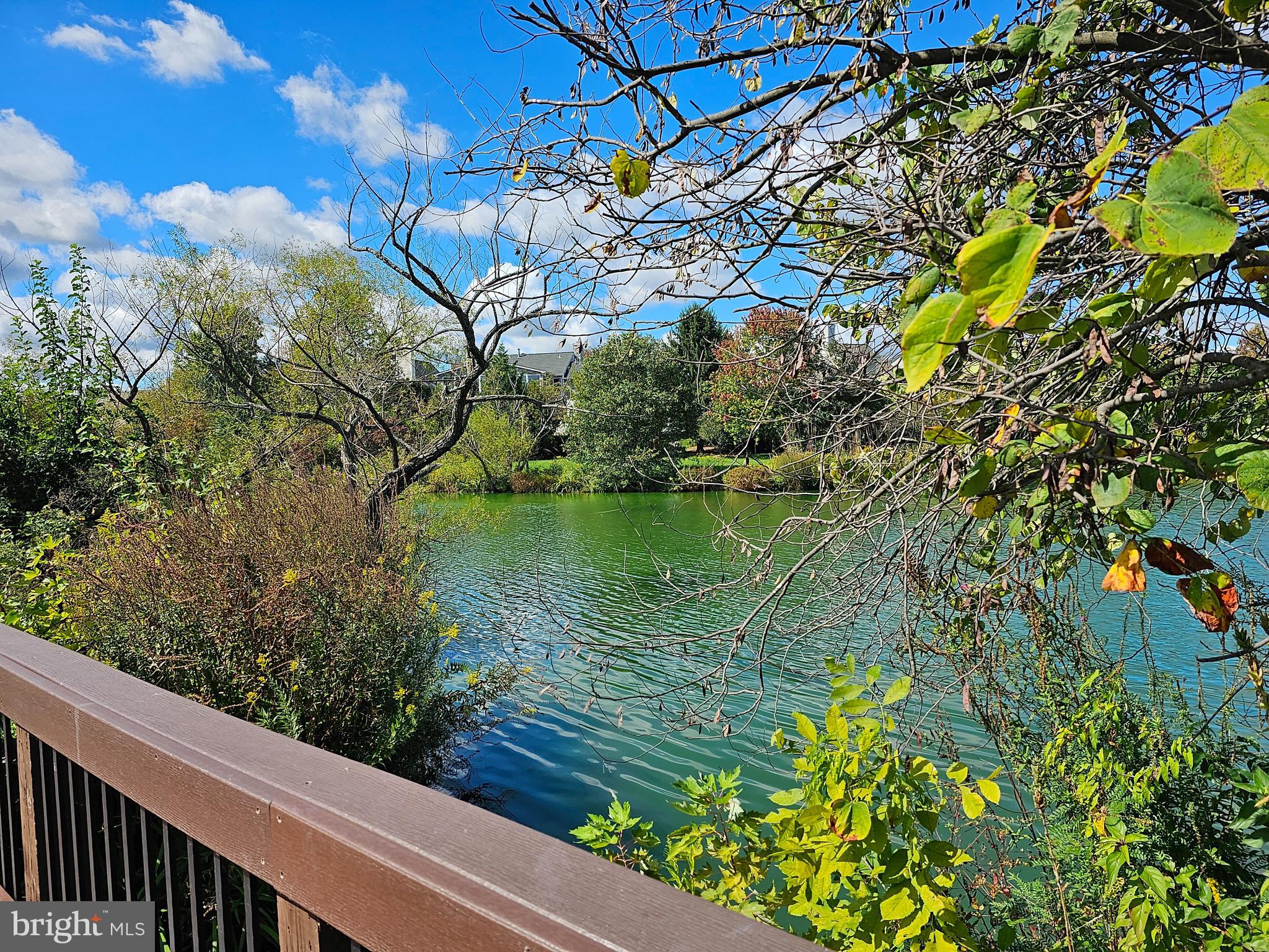 20588 Cornstalk TERRACE Unit: 101