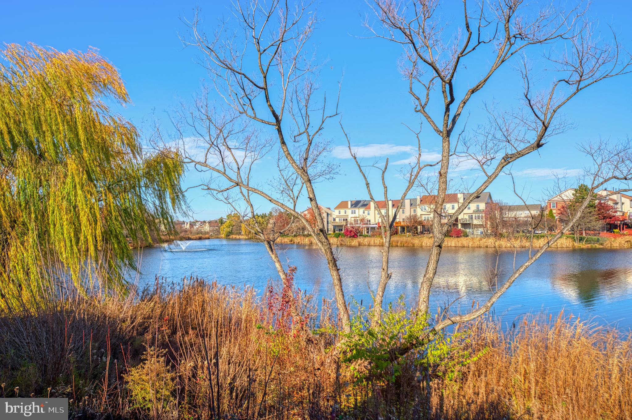 20588 Cornstalk TERRACE Unit: 101