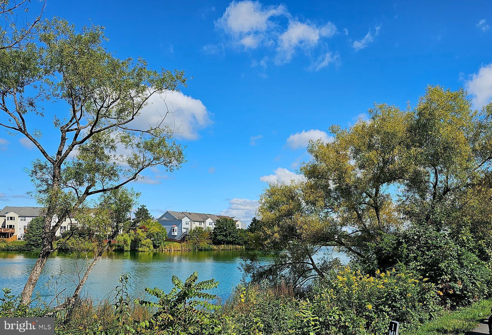 20588 Cornstalk TERRACE Unit: 101