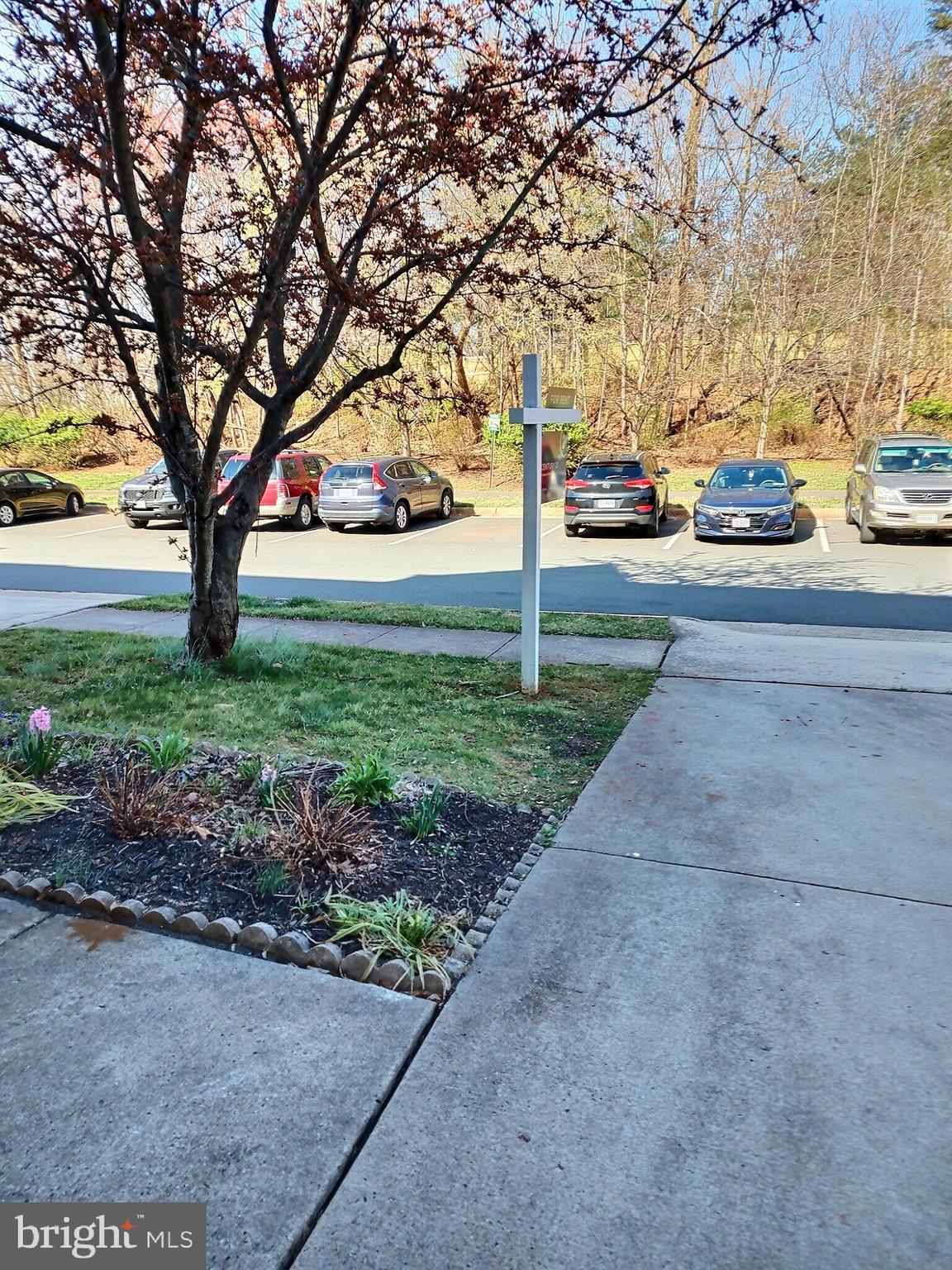 20522 Blue Heron TERRACE
