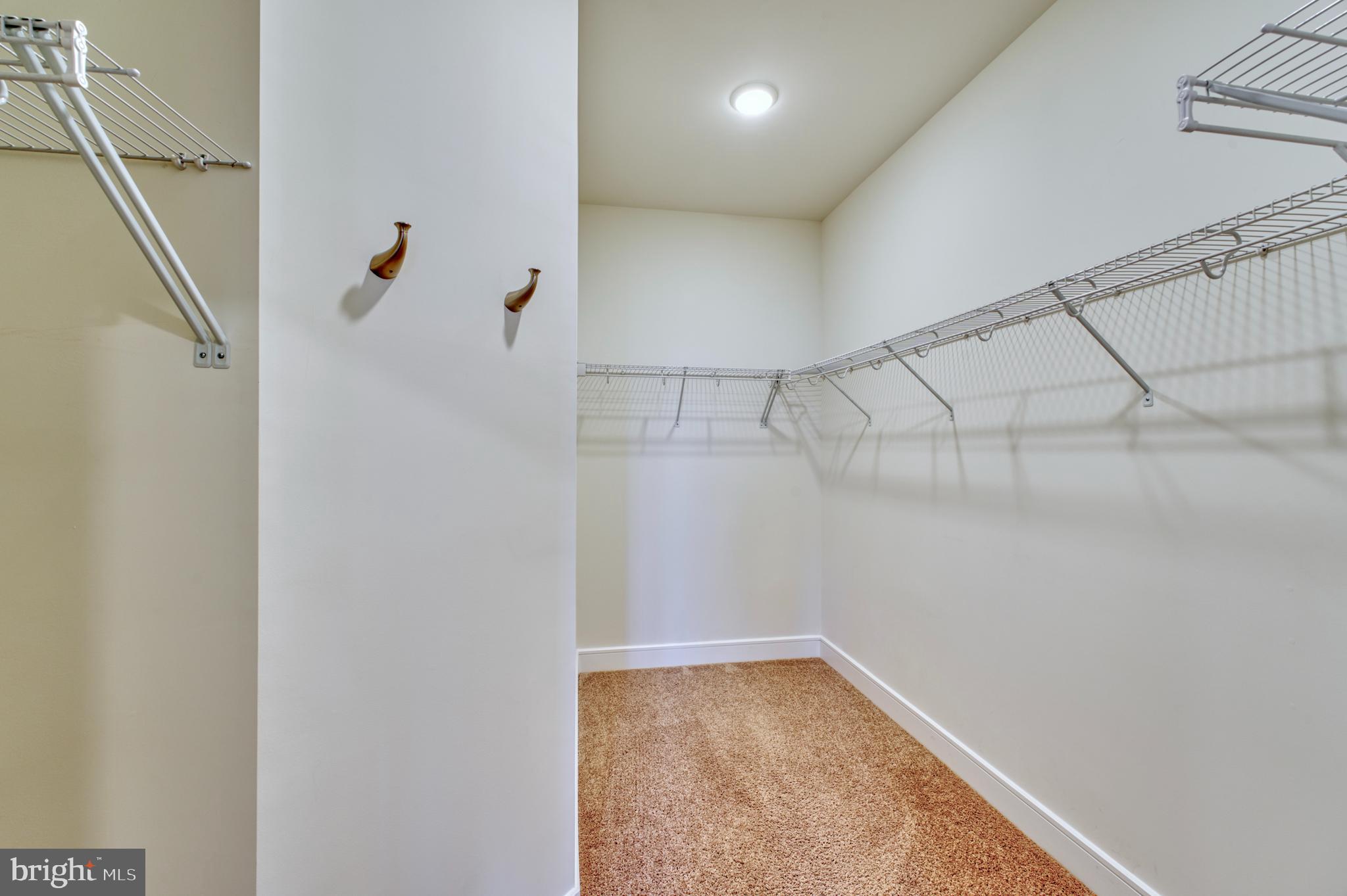 23612 Havelock Walk Ter