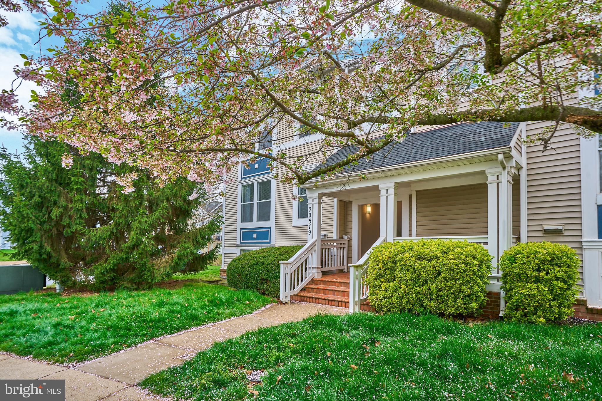 20579 Snowshoe Sq #201