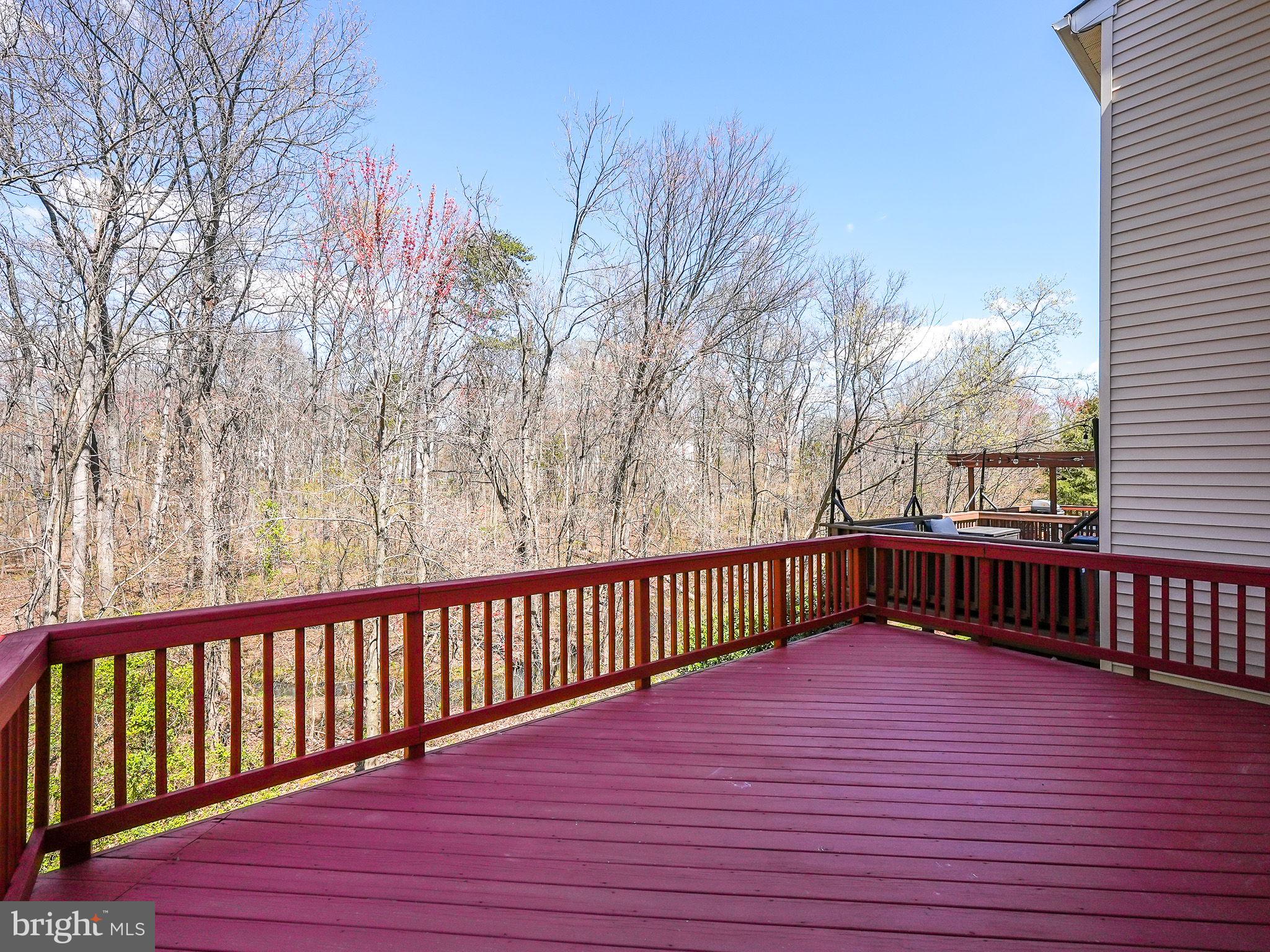 21524 Iredell Ter