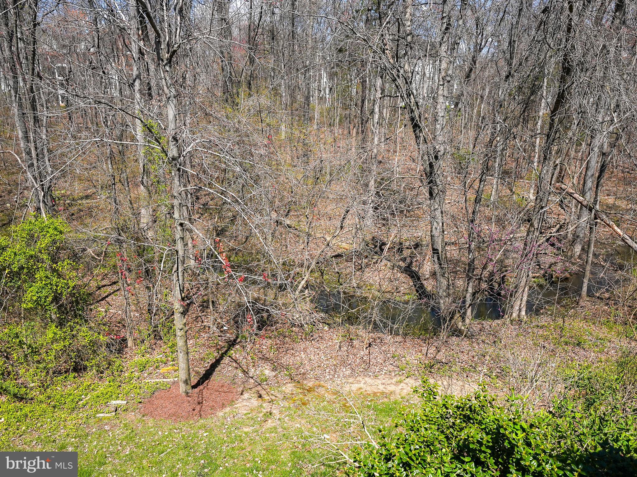 21524 Iredell Ter