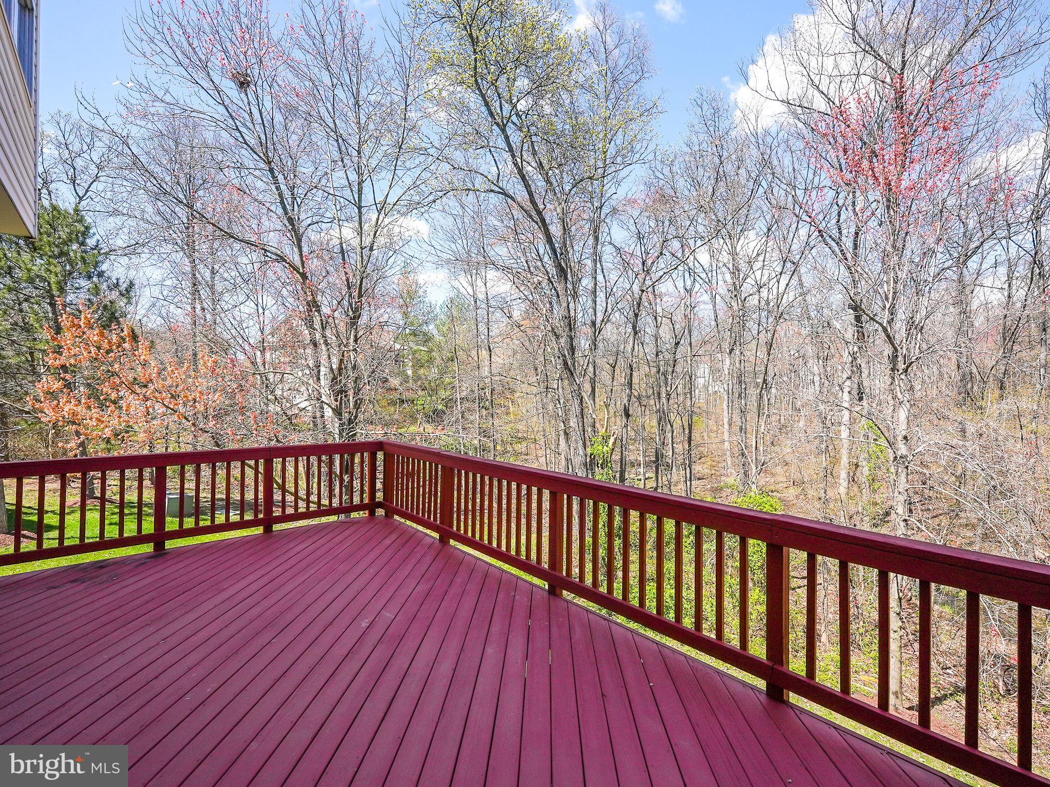 21524 Iredell Ter