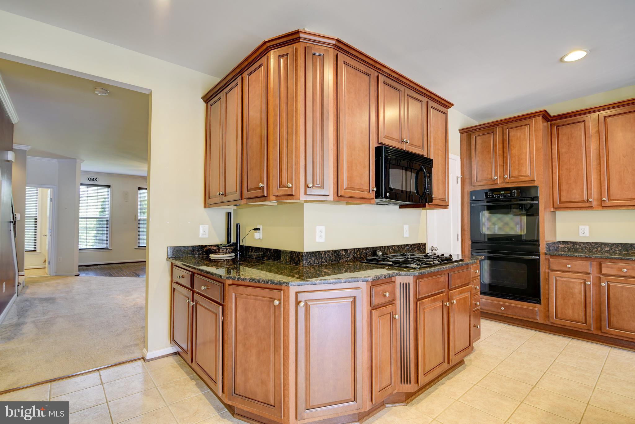 43692 Chicacoan Creek Sq