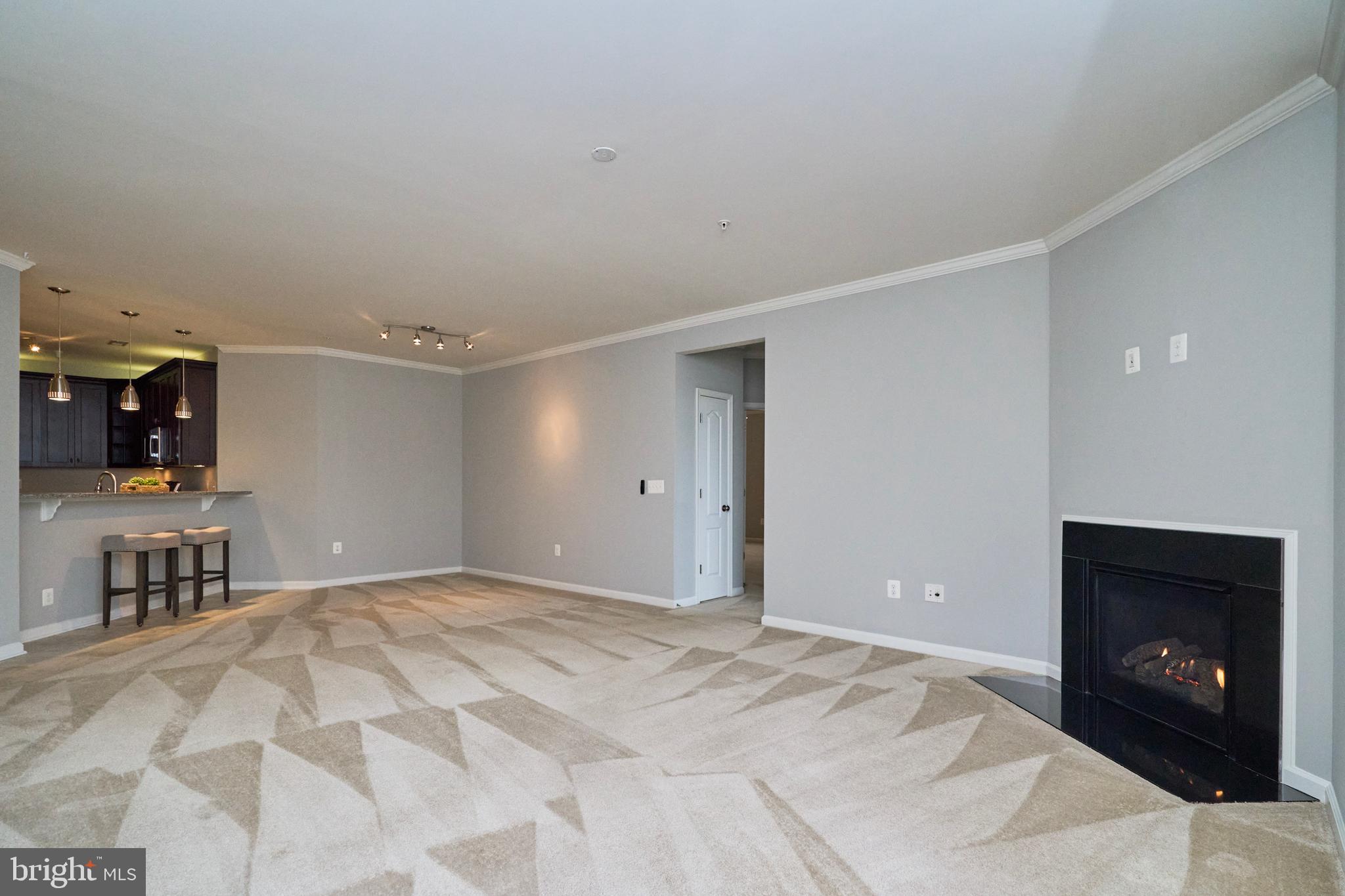 41895 Cathedral Valley Sq #301